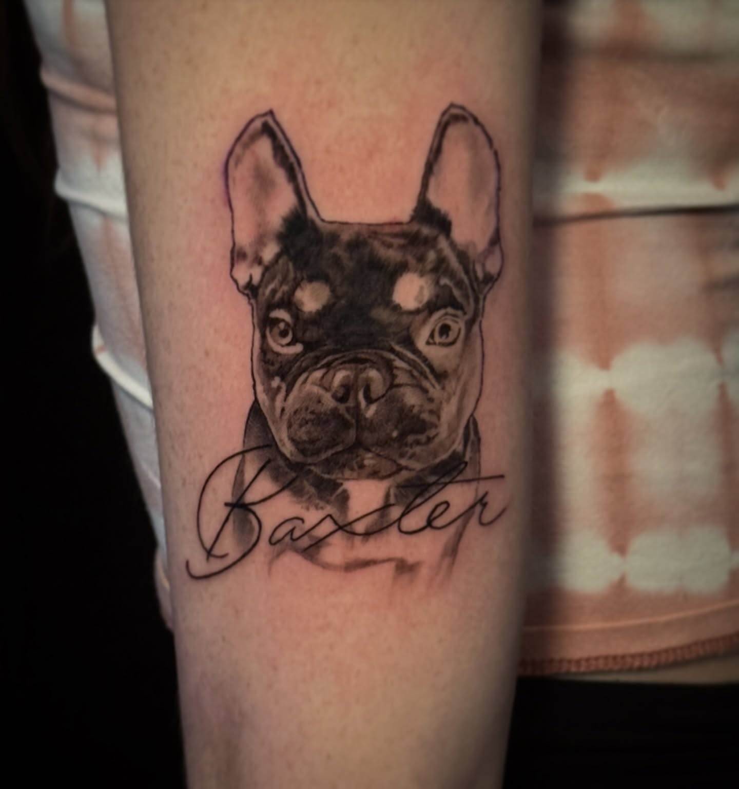 French bulldog realism tattoo on the forearm by Francis Hagendorn, Toronto, Ontario
