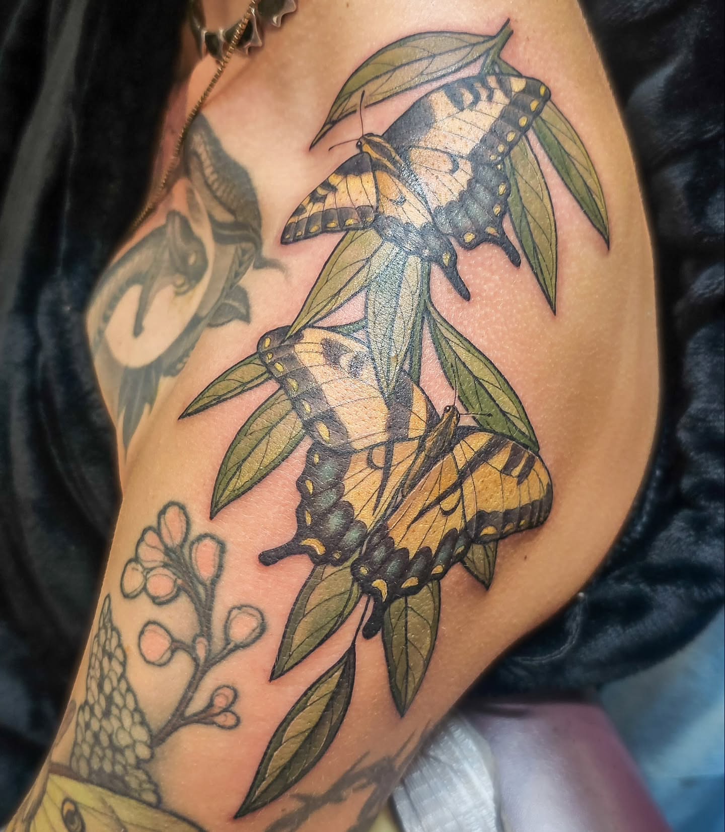 Tattoo by @plaidbear_designco — realism, dotwork