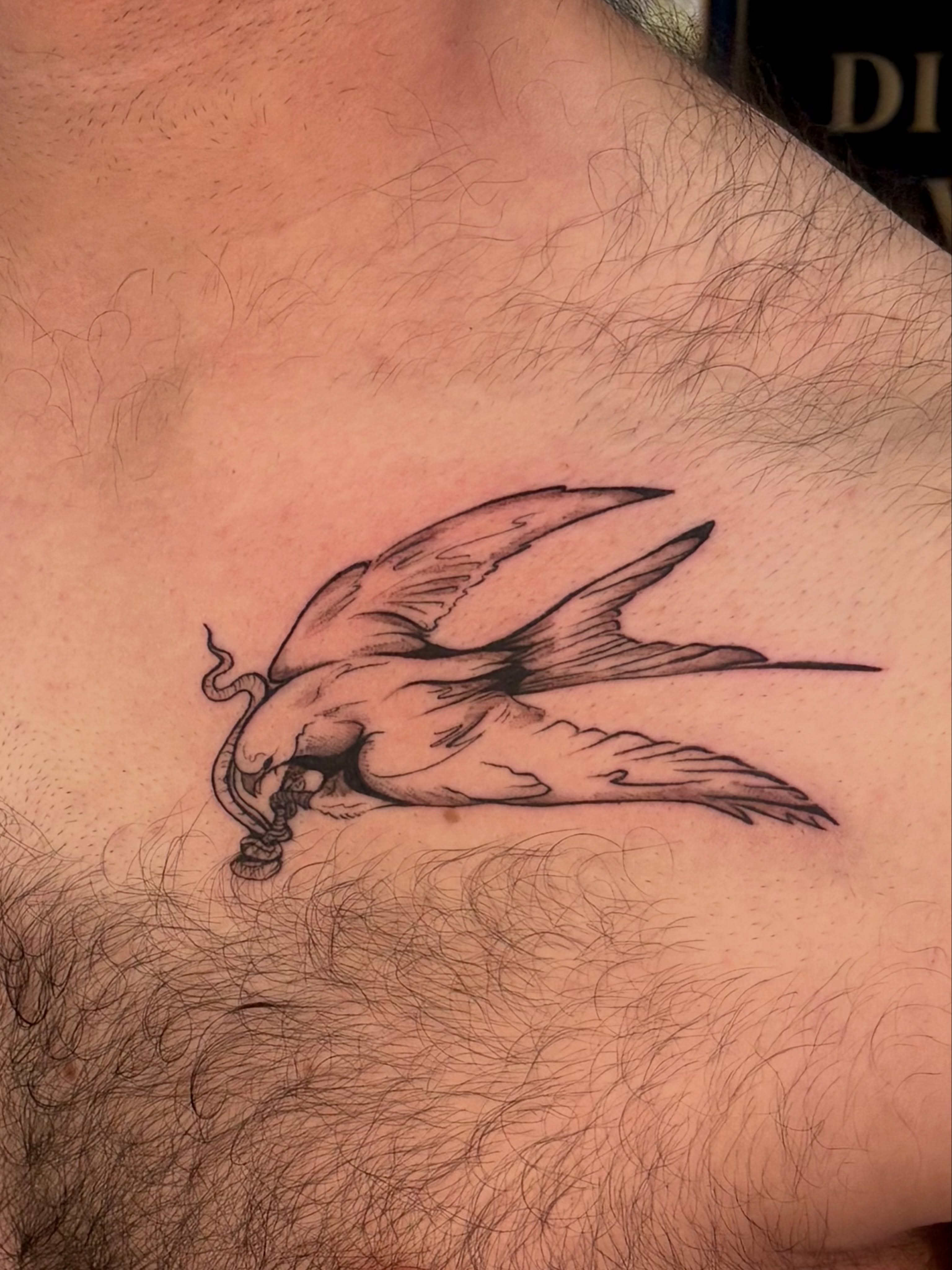 Phoenix black and grey tattoo on the chest by Sarah