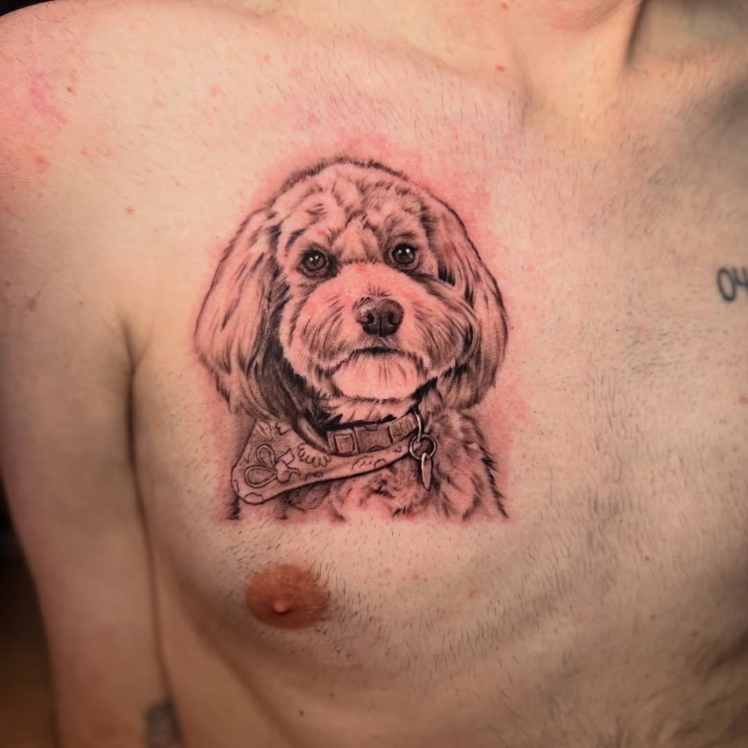 Dog portrait realism tattoo on the chest by Adam Newton