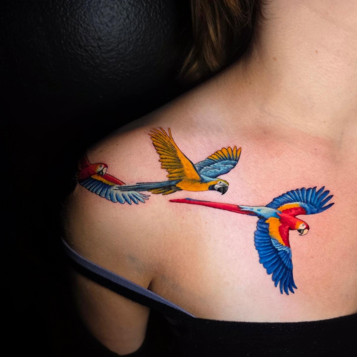 Parrots realism tattoo on the shoulder by Banana Cake