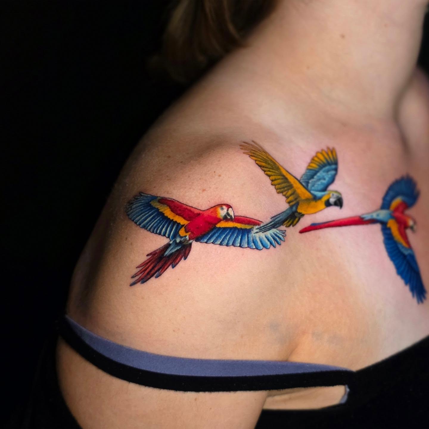 Parrots realism tattoo on the shoulder by Banana Cake
