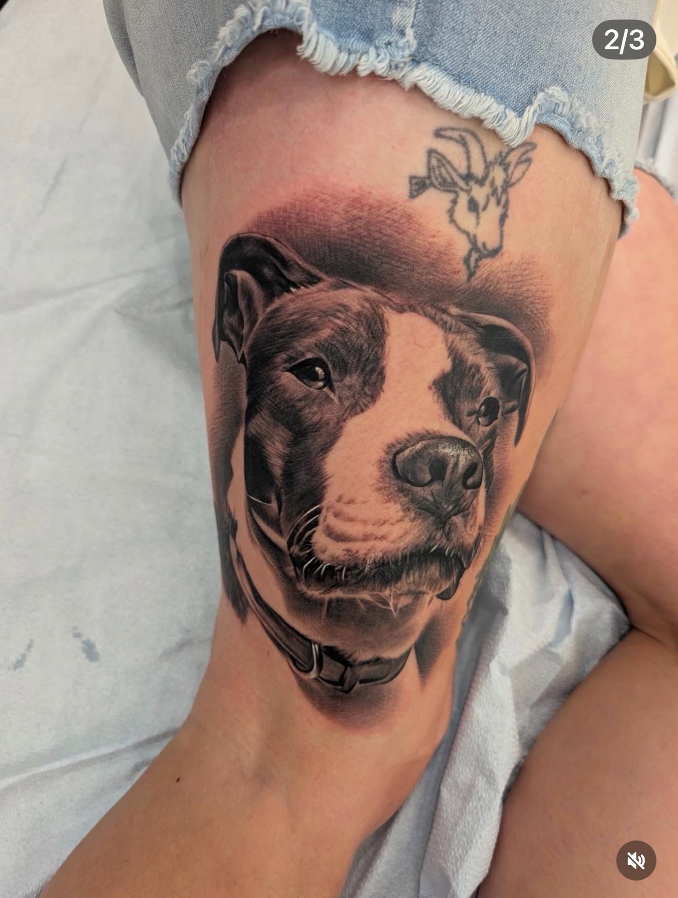 Tattoo by @bonytony666 — realism