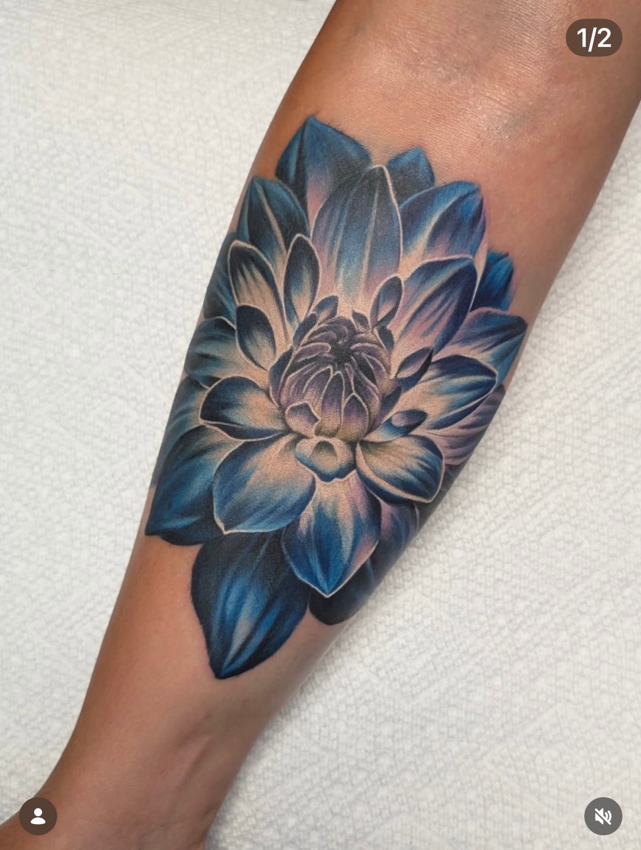 Tattoo by @bonytony666 — realism