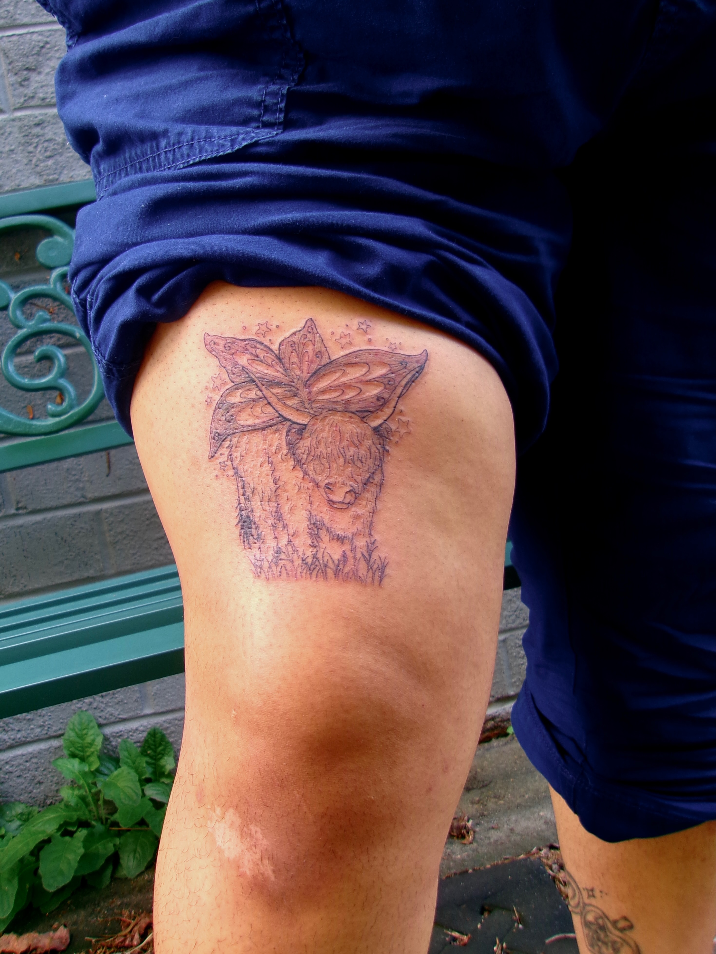 Highland cow realism tattoo on the thigh by Zo ☆ Moon Snail
