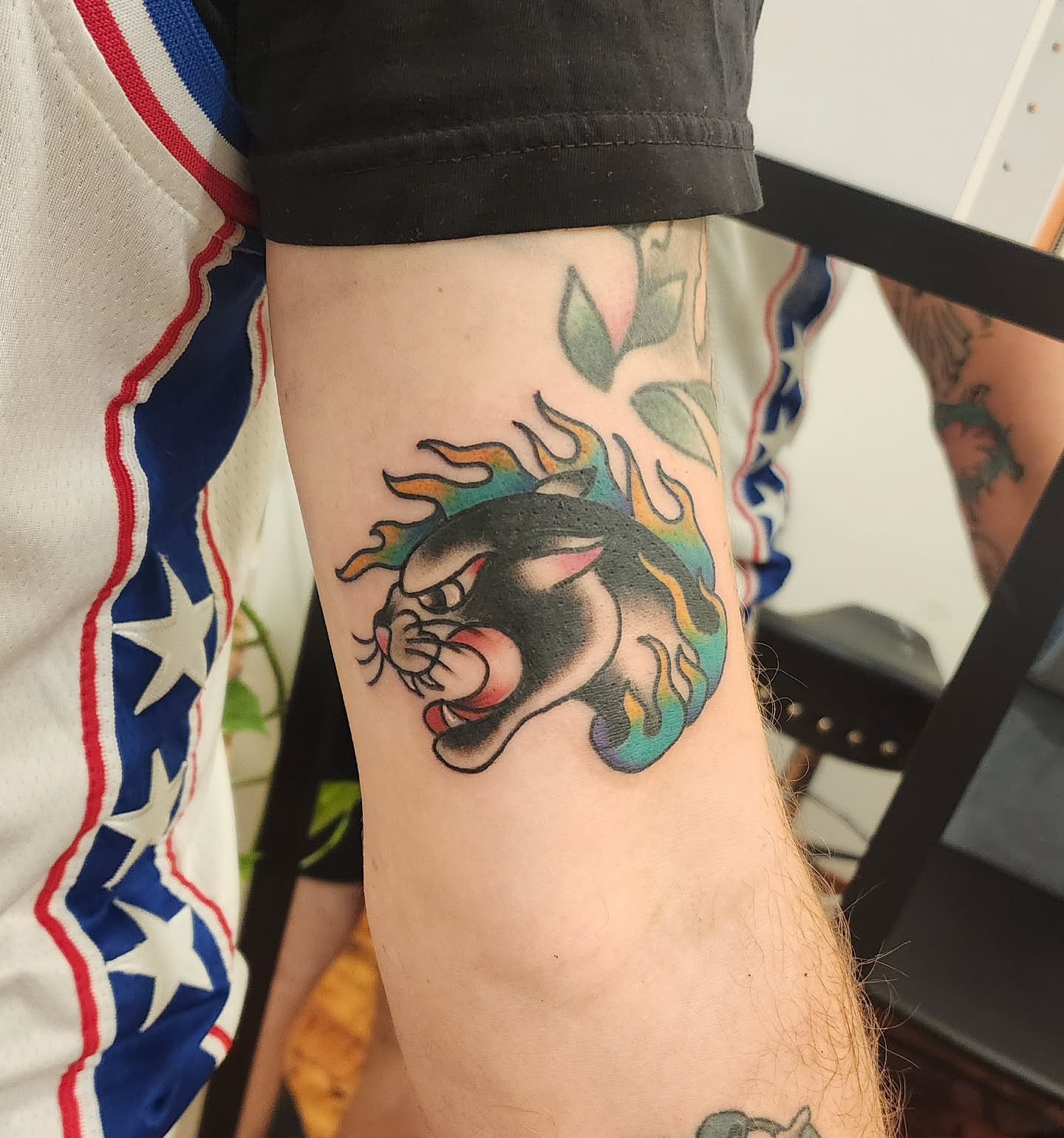 Angry cat American traditional tattoo on the forearm by mikayla
