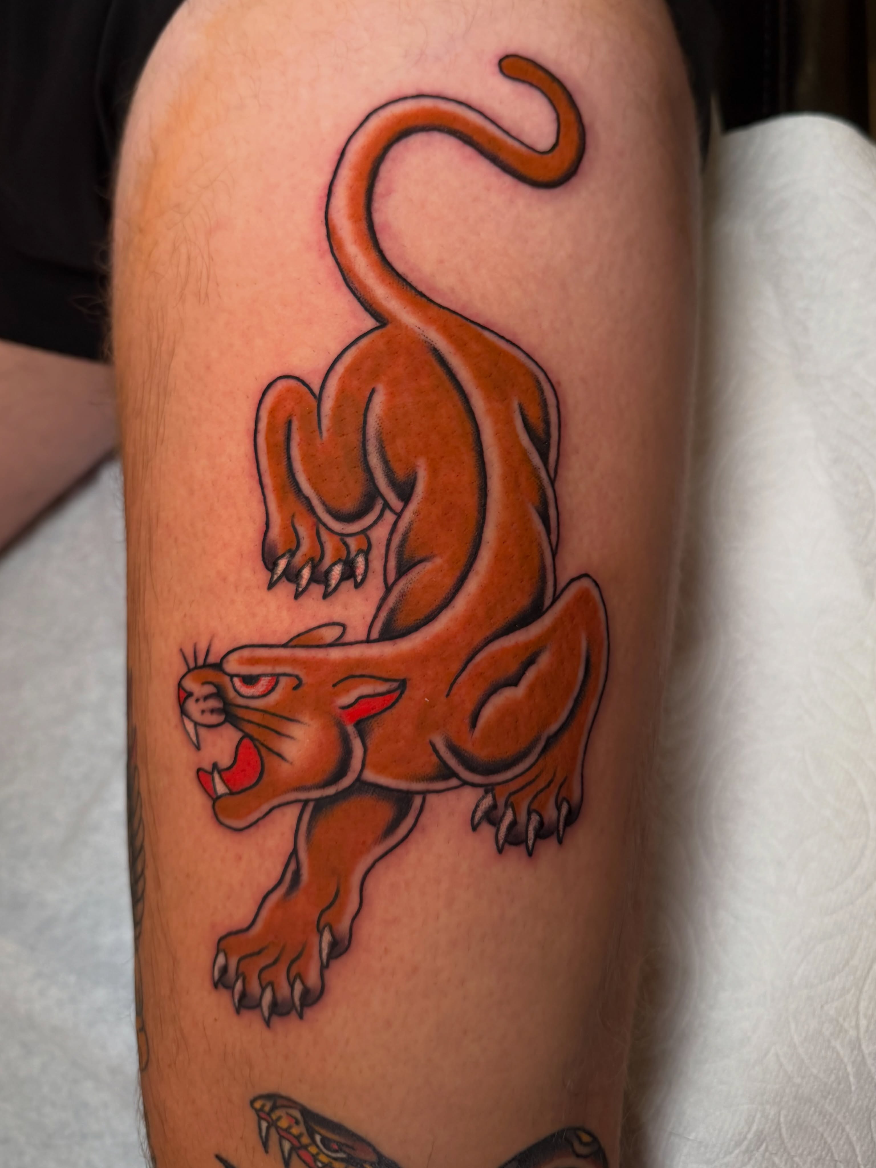 Panther American traditional tattoo on the forearm by Tyler Brown, San Diego, California