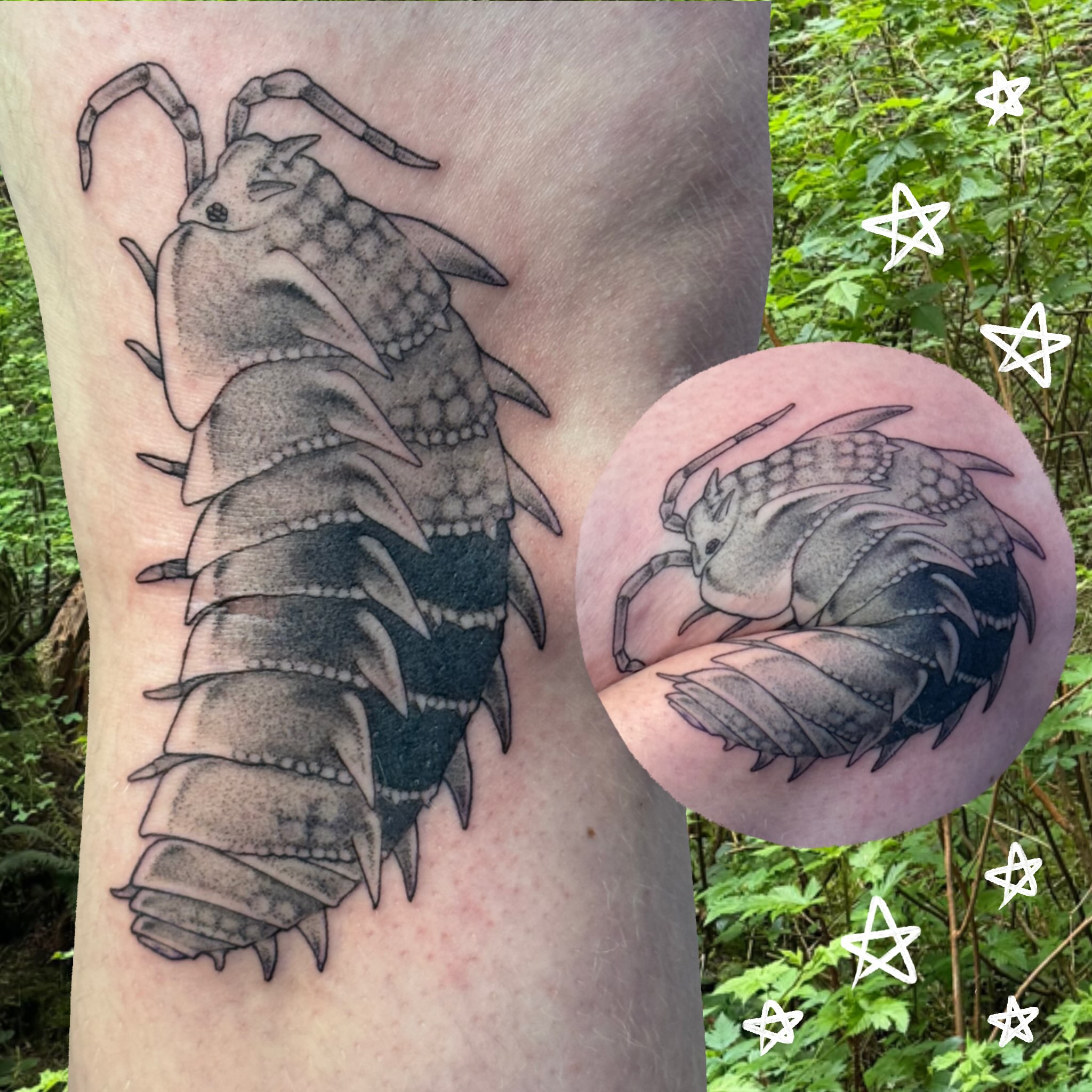 Woodlouse black and grey tattoo on the forearm by Ivy