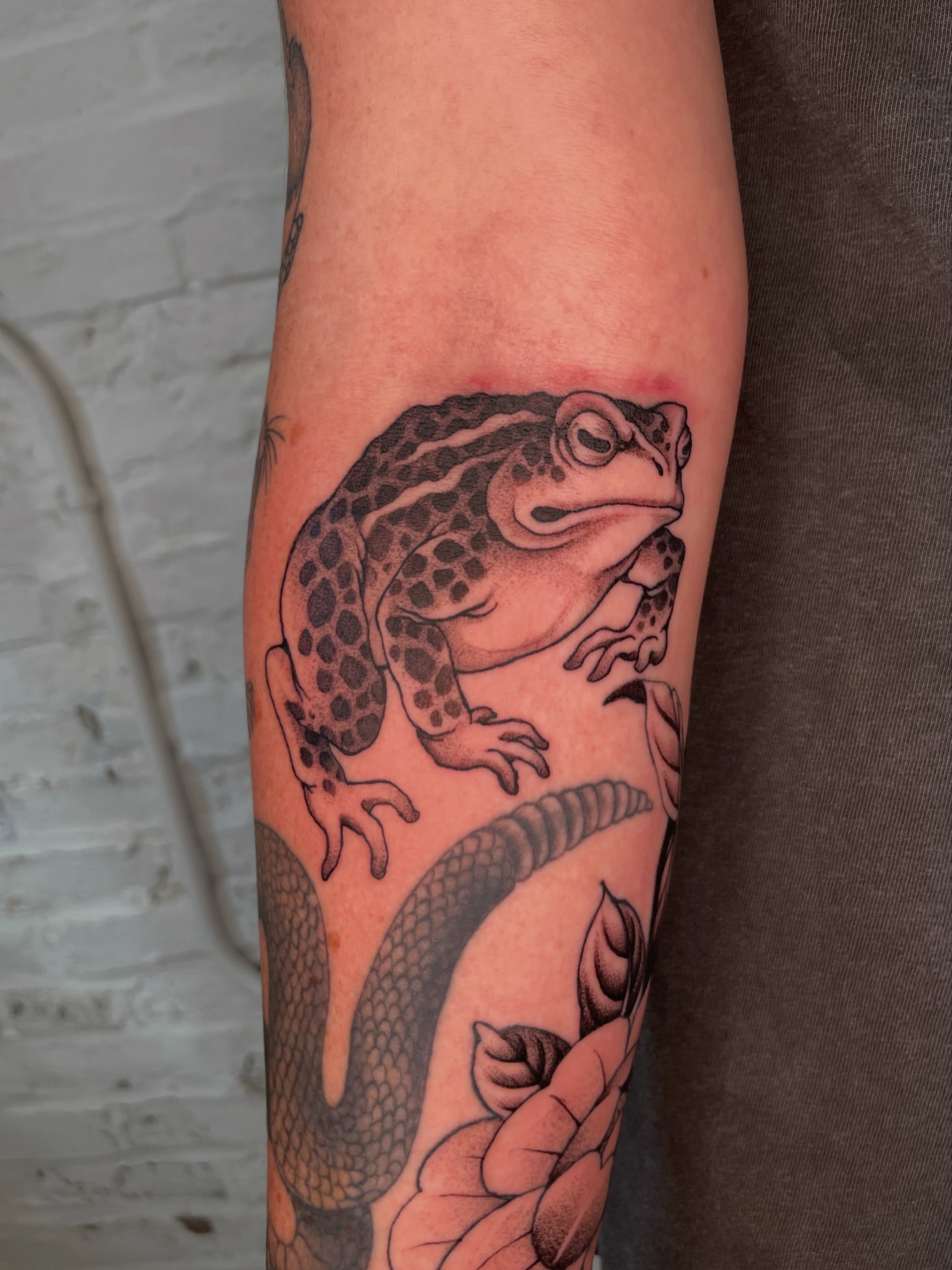 Tattoo by @collie_tattoos — black_and_grey