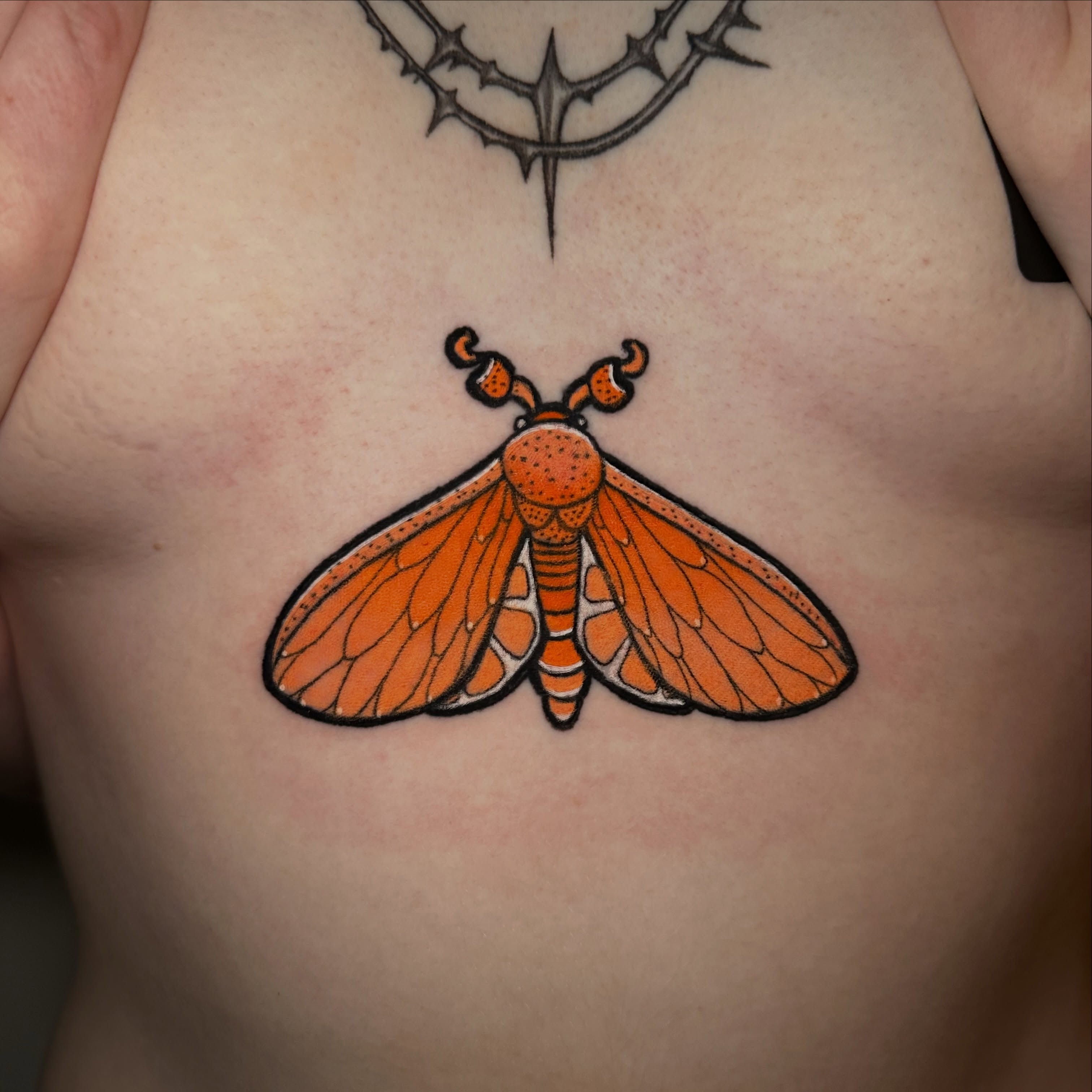 Orange moth dotwork tattoo on the chest by Les