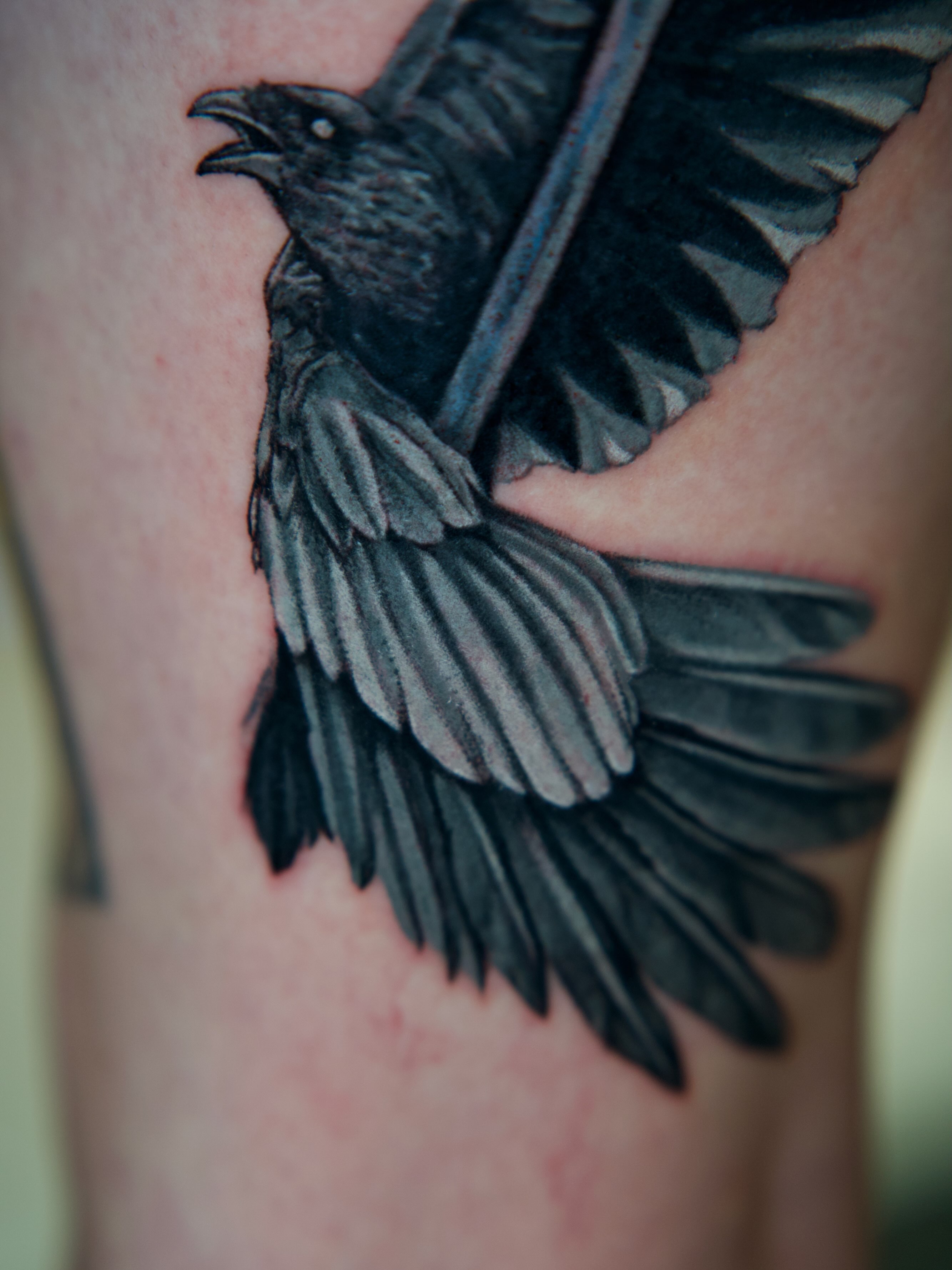 Crow black and grey tattoo on the forearm by Raven Wood