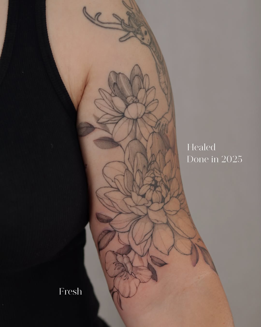 Tattoo by @phoebe_doartink — black_and_grey