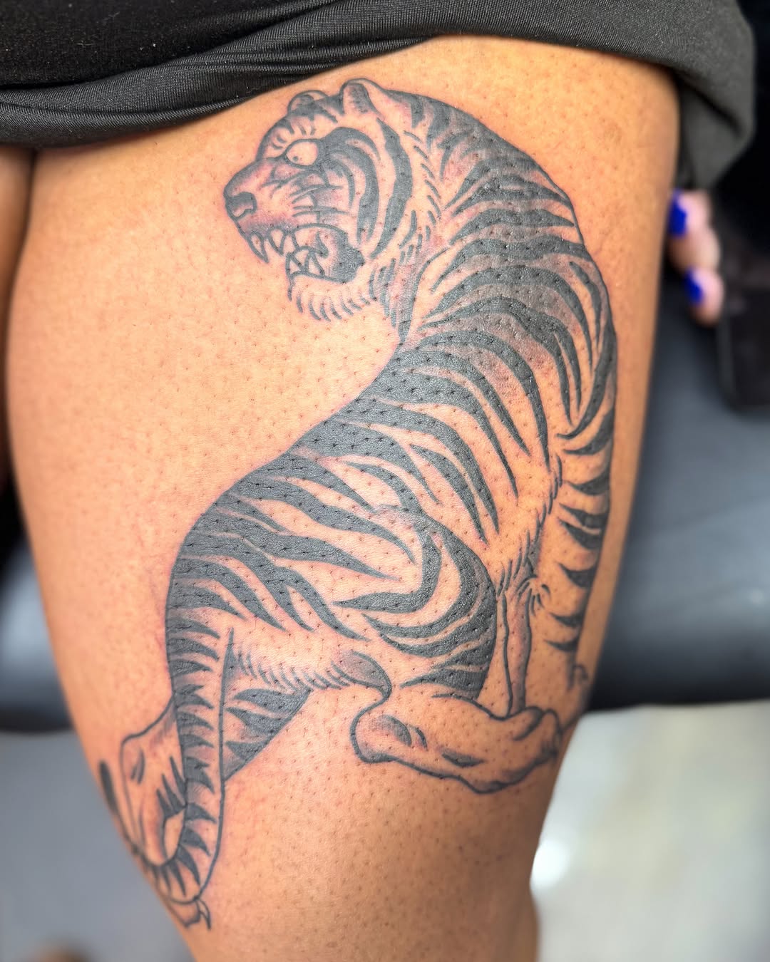 Tiger black and grey tattoo on the thigh by Zac Tattooer