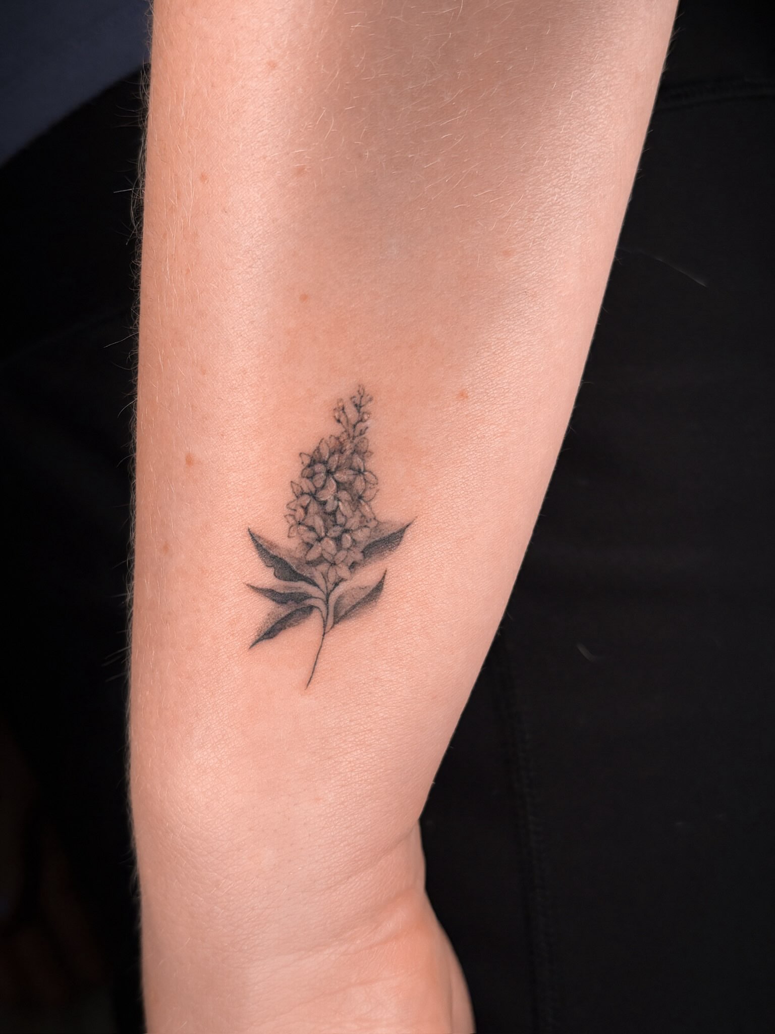 Tattoo by @eudokeotattoo — black_and_grey
