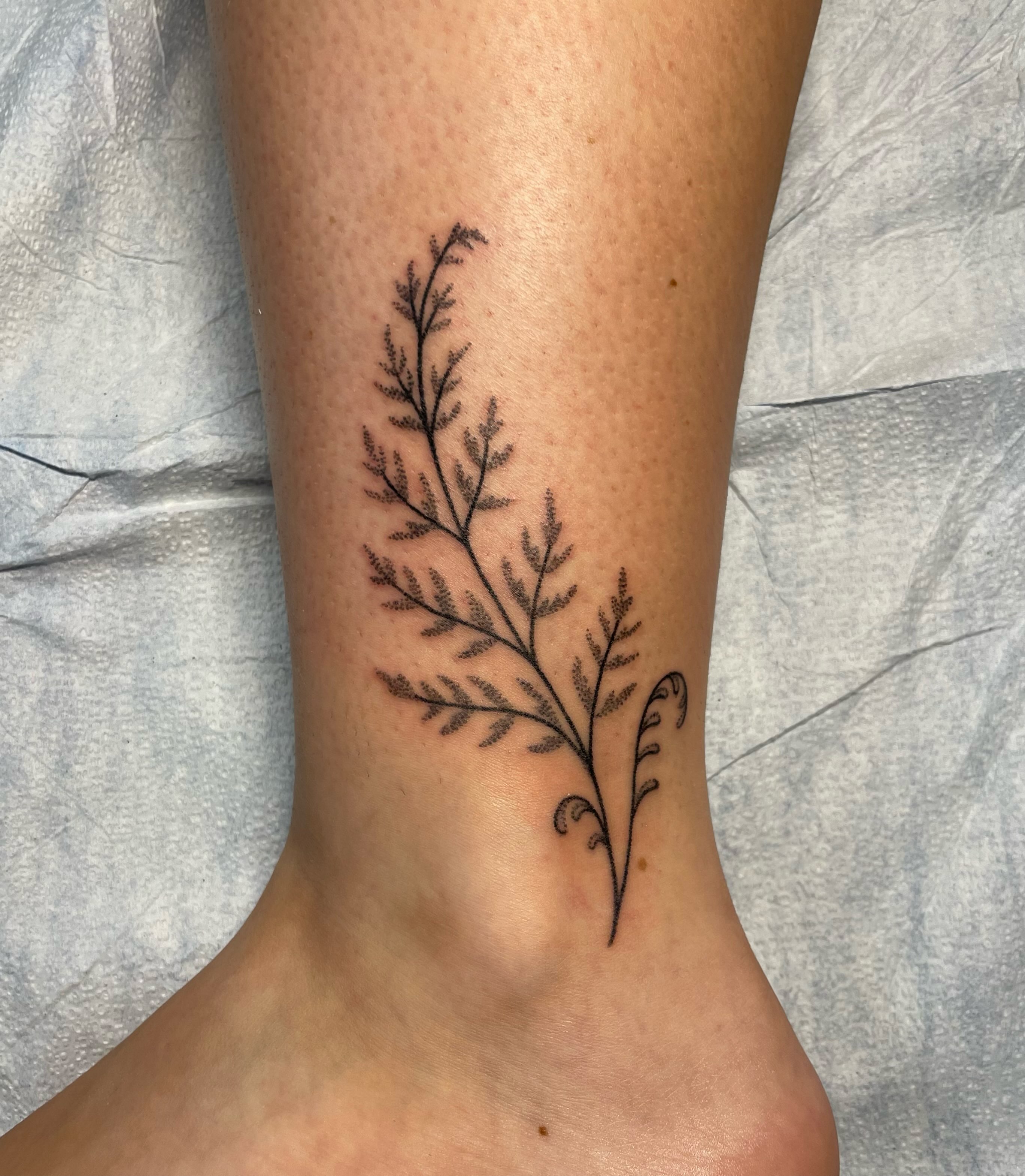 Fern fine line tattoo on the calf by Quin