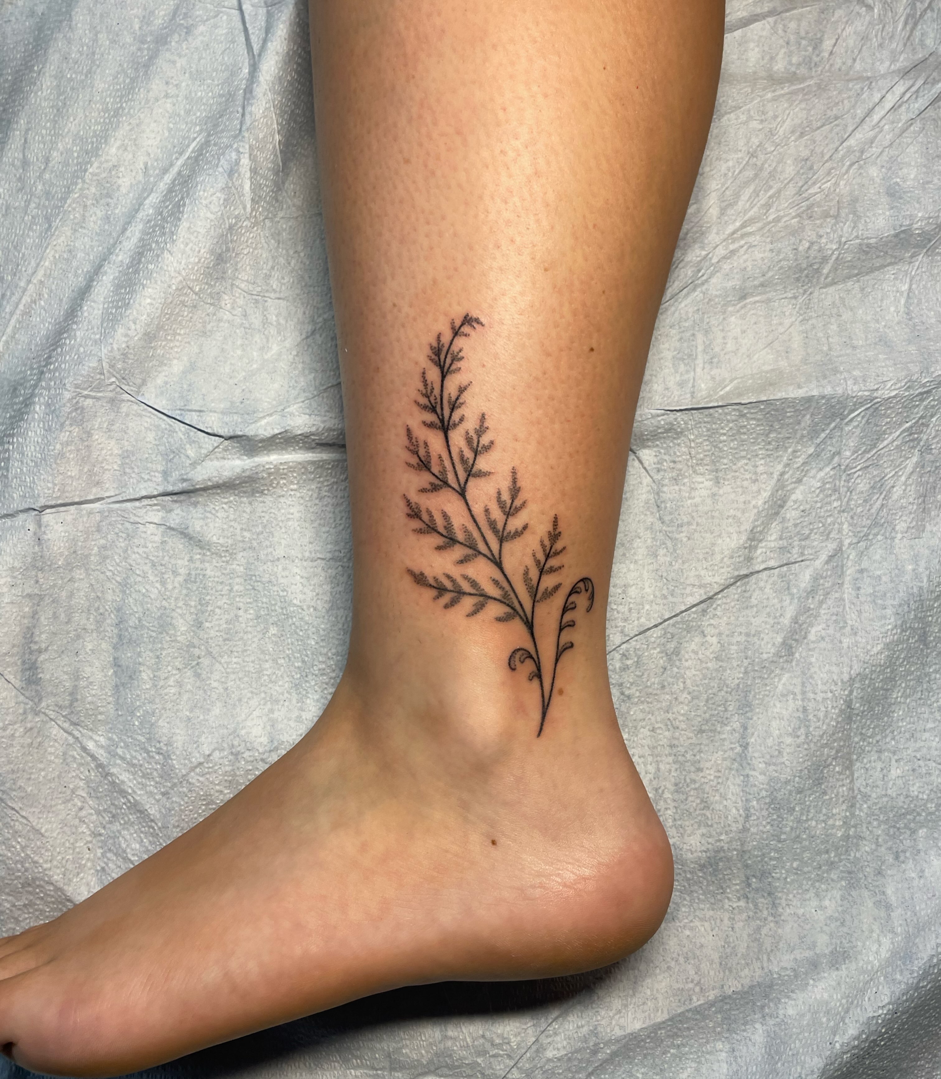 Fern fine line tattoo on the leg by Quin