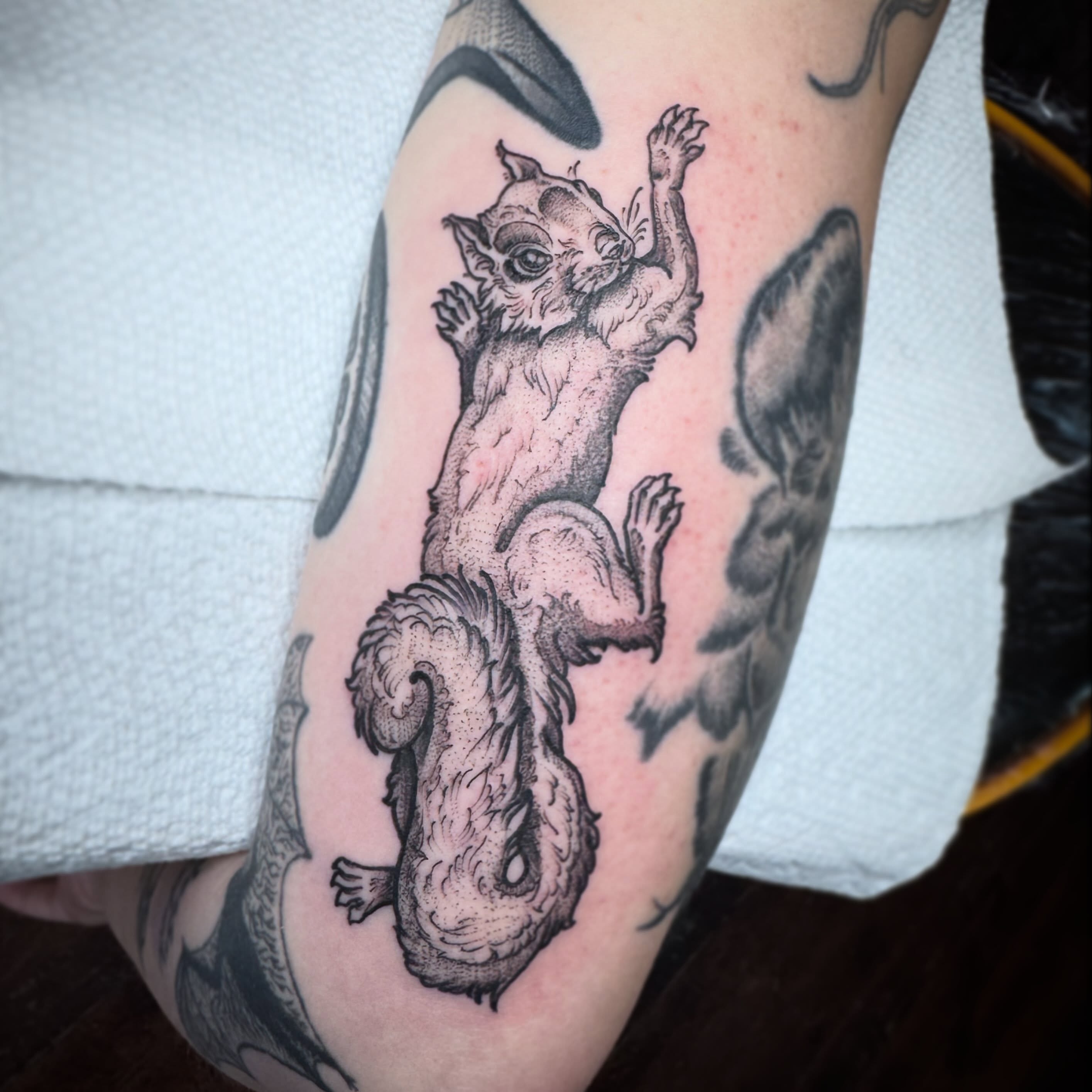 Squirrel dotwork tattoo on the forearm by 🏵