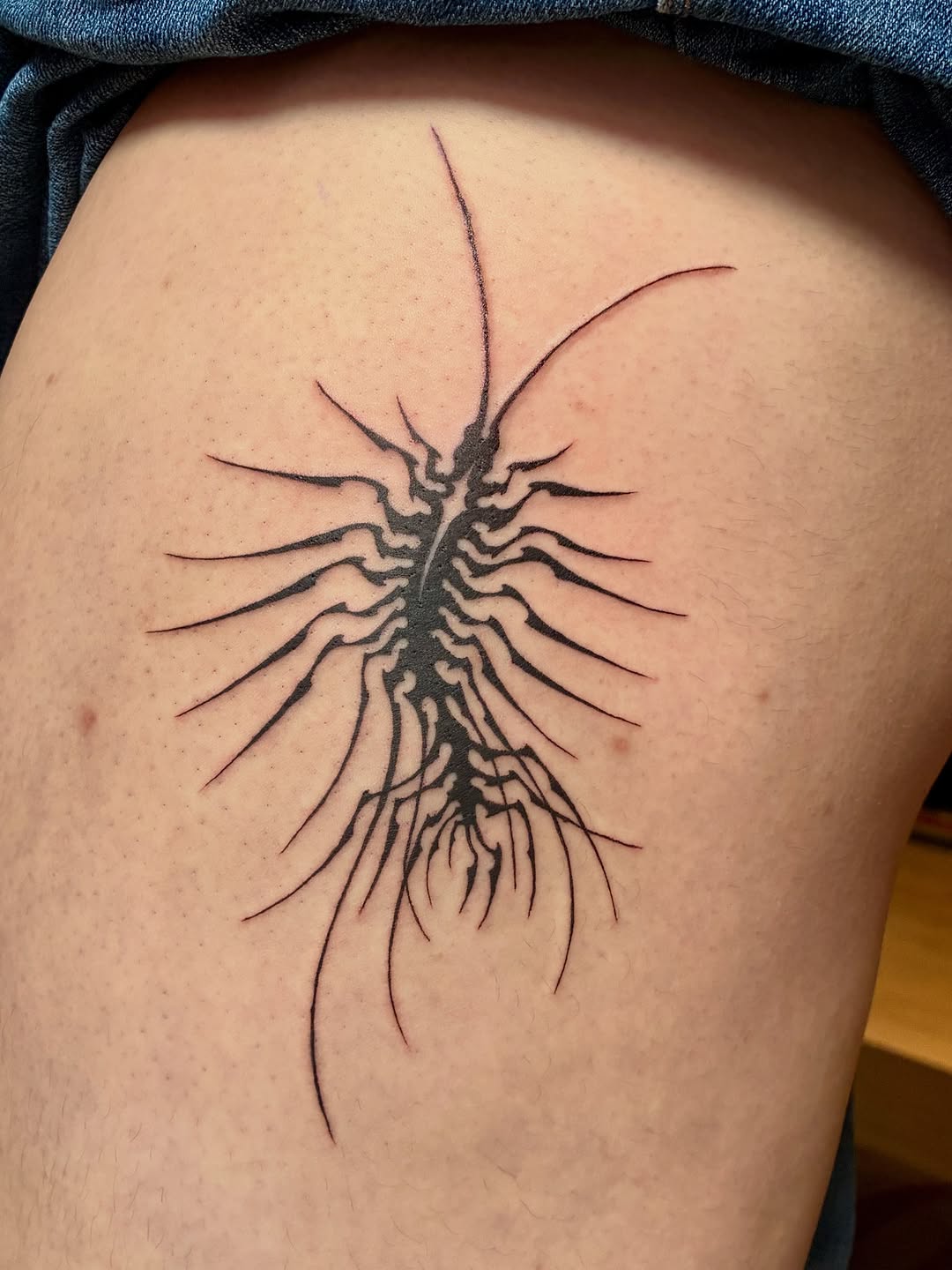 Centipede blackwork tattoo on the thigh by thalia