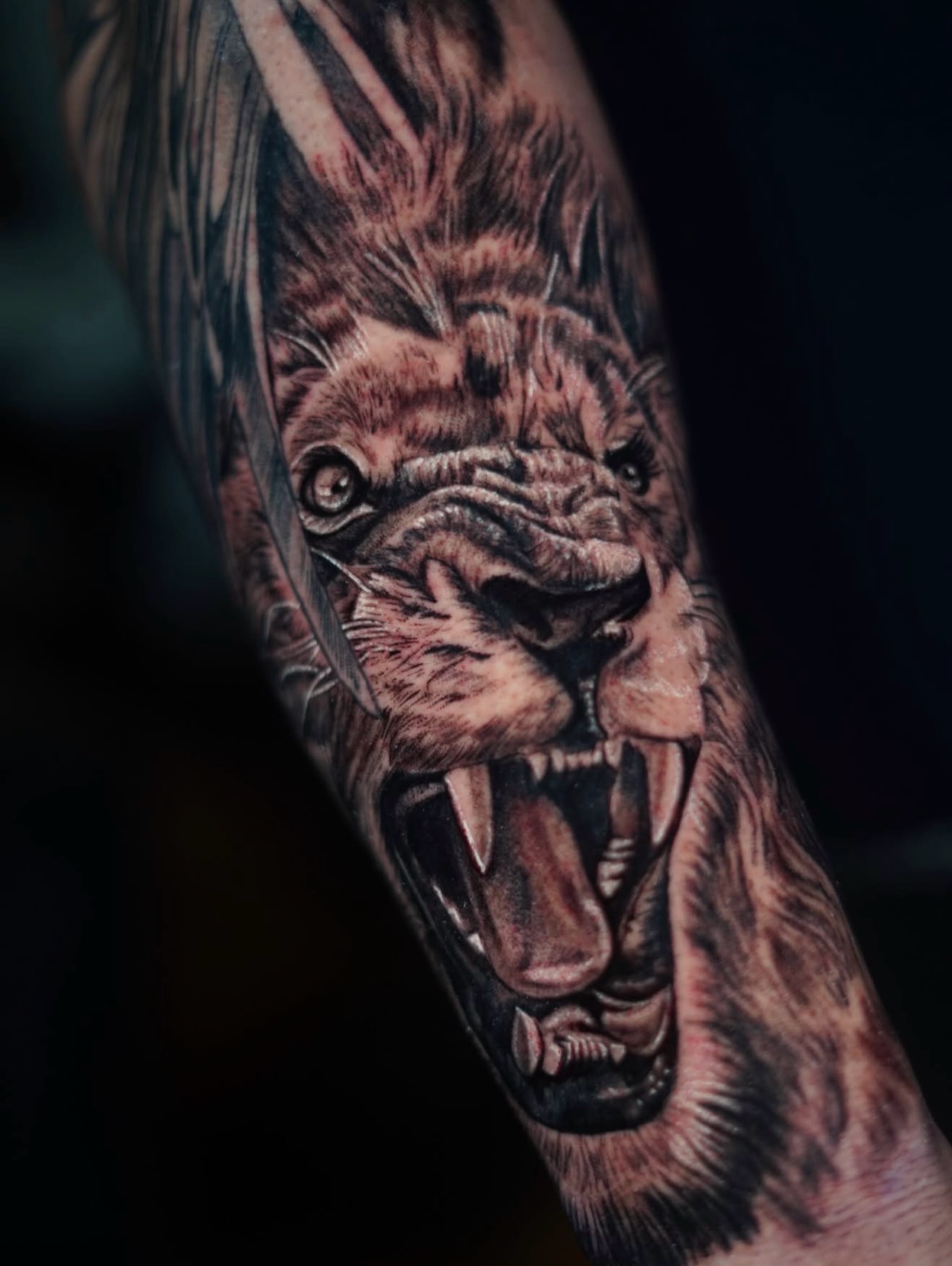 Roaring lion realism tattoo on the forearm by @inkedbystabby, Manchester, New Hampshire