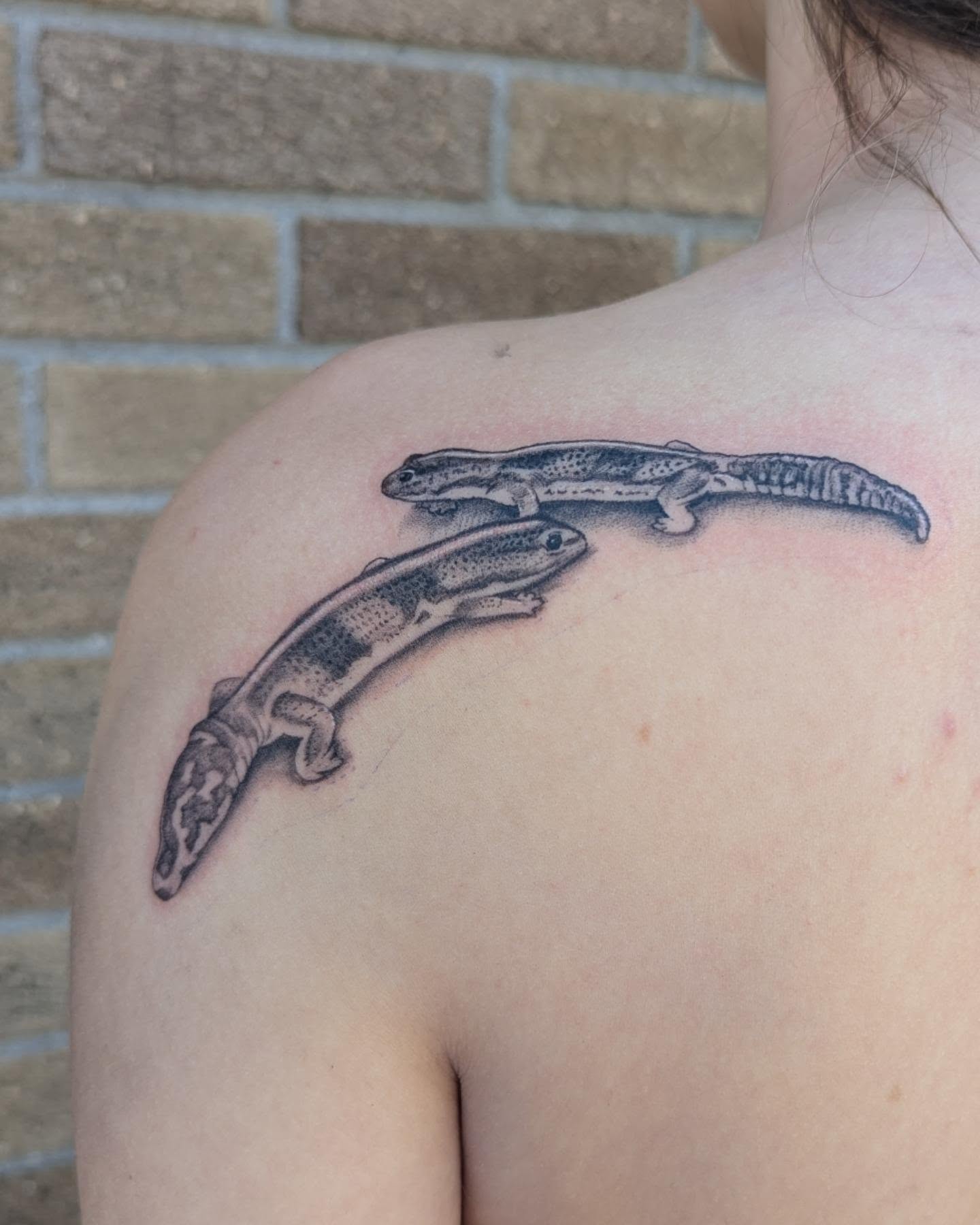 Geckos realism tattoo on the shoulder by Hannah Hayes, Livonia, Michigan