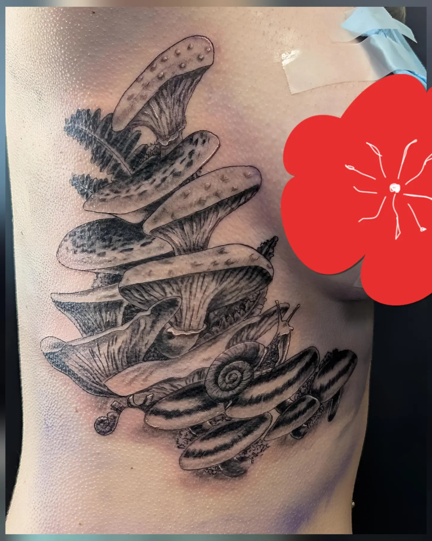 Mushrooms and snail realism tattoo on the ribs by Hannah Hayes, Livonia, Michigan