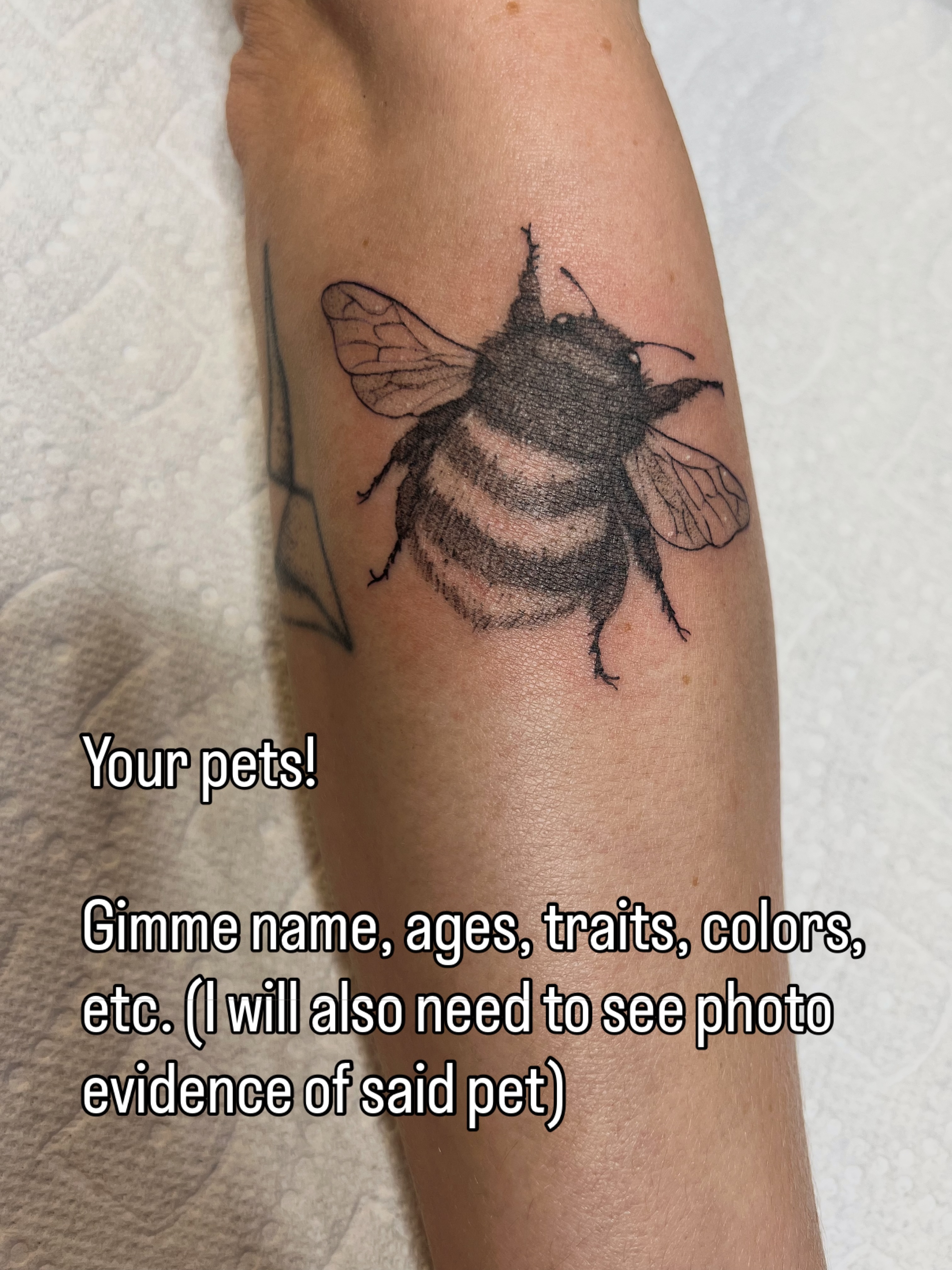 Tattoo by @hollytattoos__ — realism