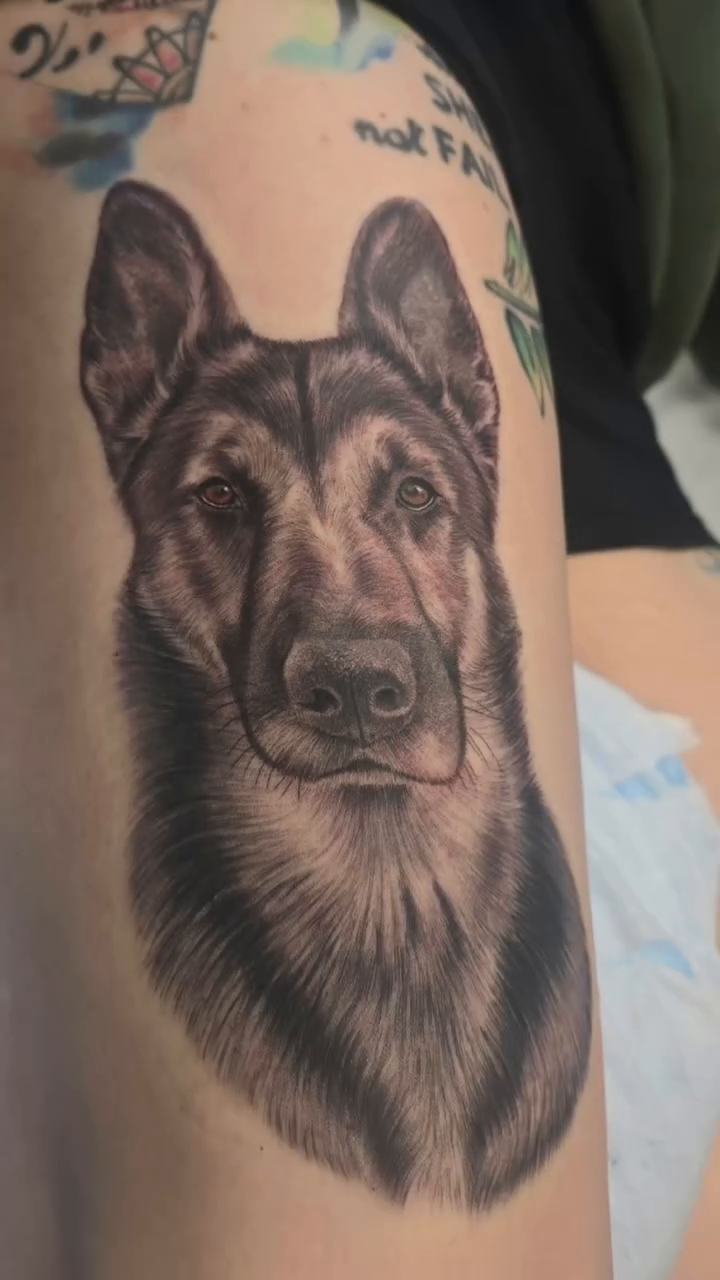 German Shepherd portrait realism tattoo by Anna Brittany