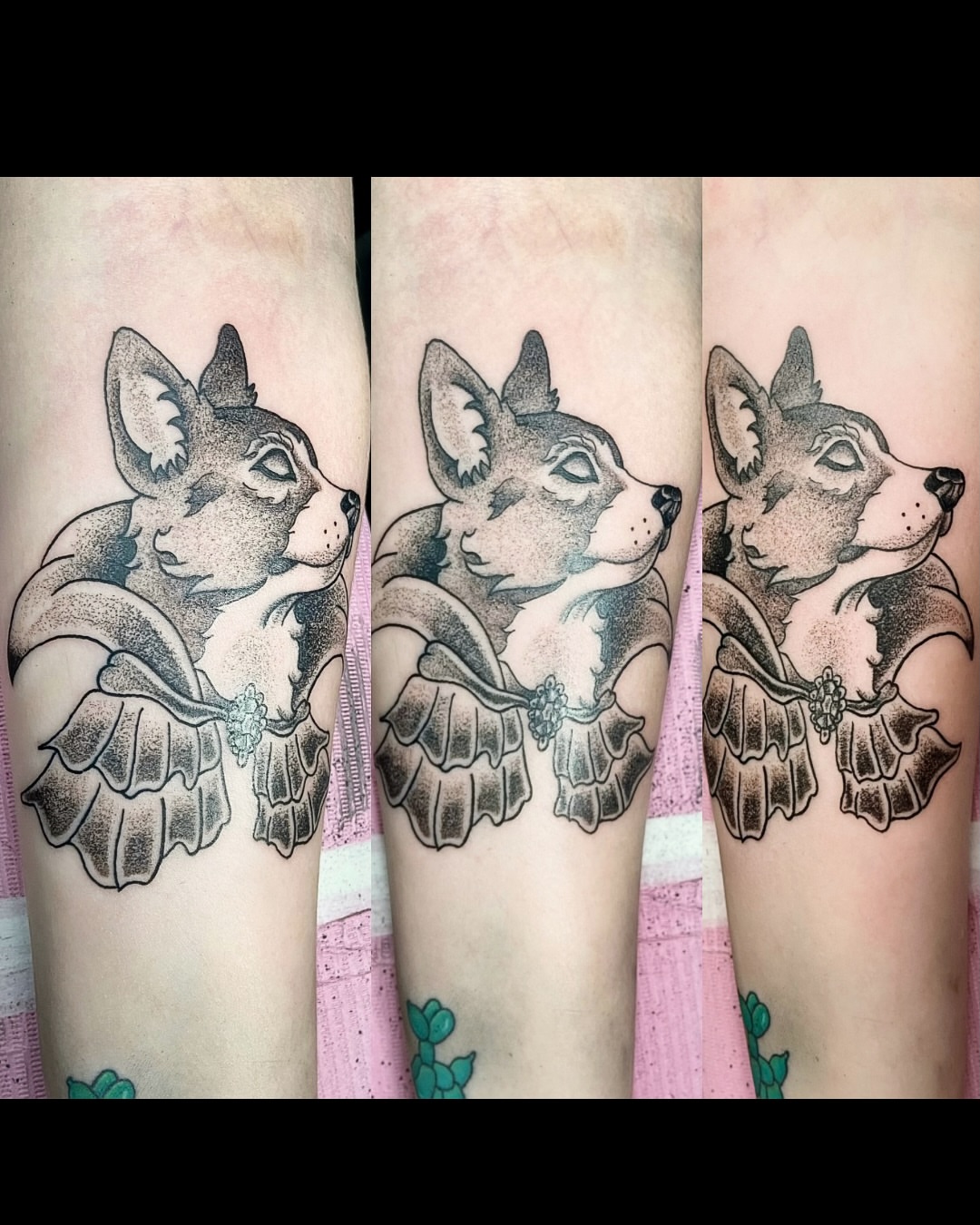 Chihuahua dotwork tattoo on the forearm by Shay Cole