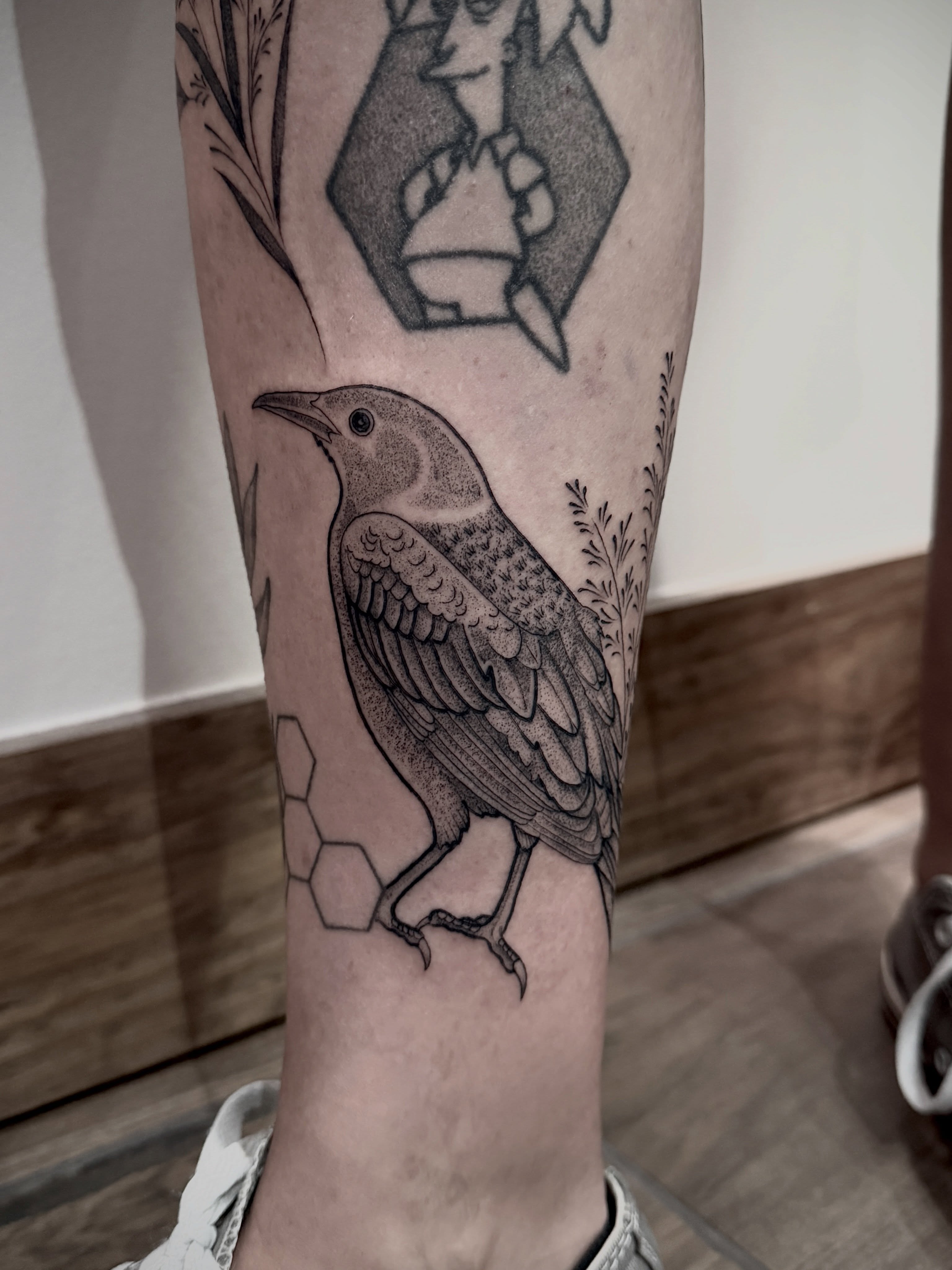 Bird black and grey tattoo on the forearm by Tattoos by Robyn Pallotta, Austin, Texas