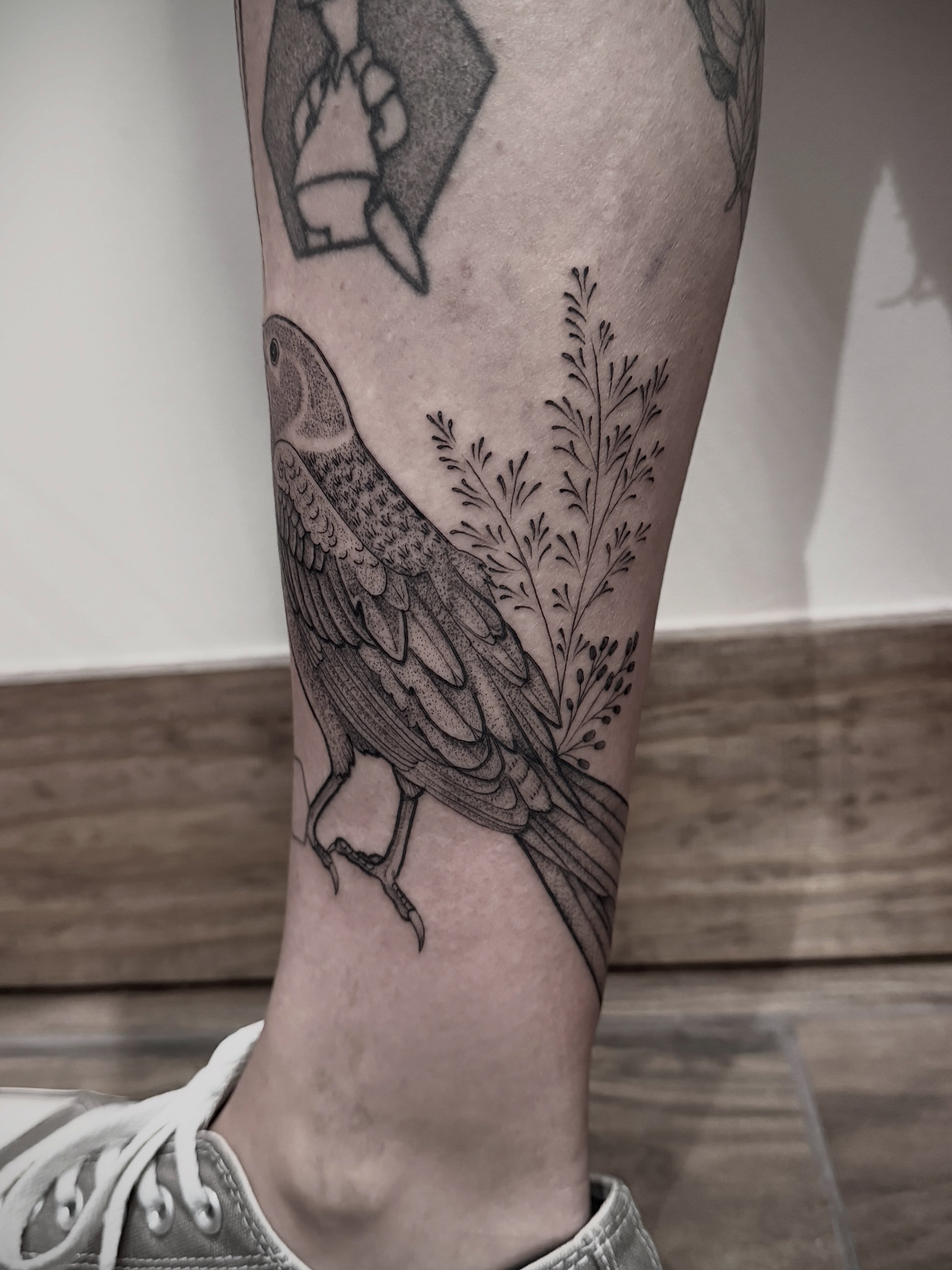 Bird and plant realism tattoo on the calf by Tattoos by Robyn Pallotta, Austin, Texas