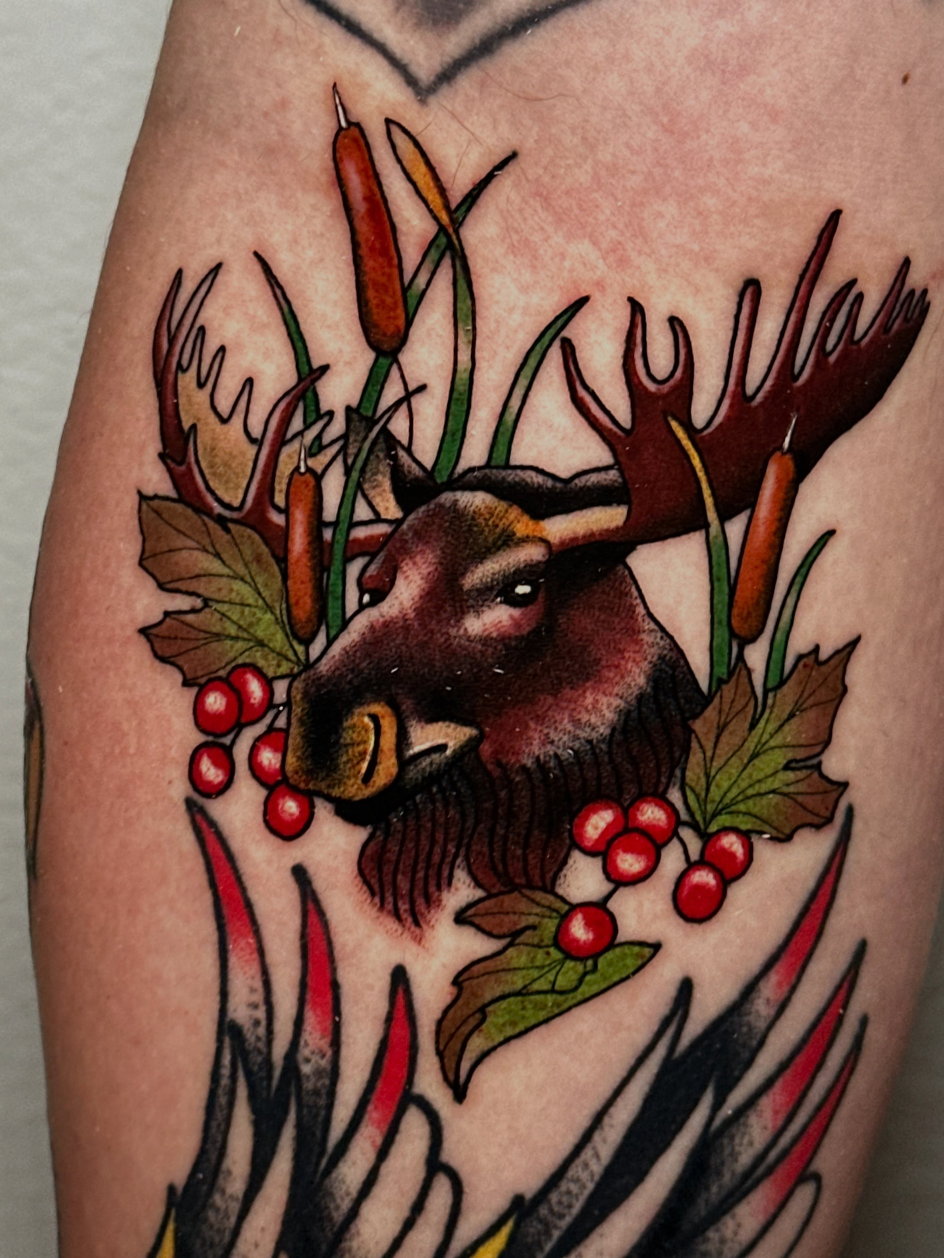 Moose head American traditional tattoo on the forearm by Liz McDonald