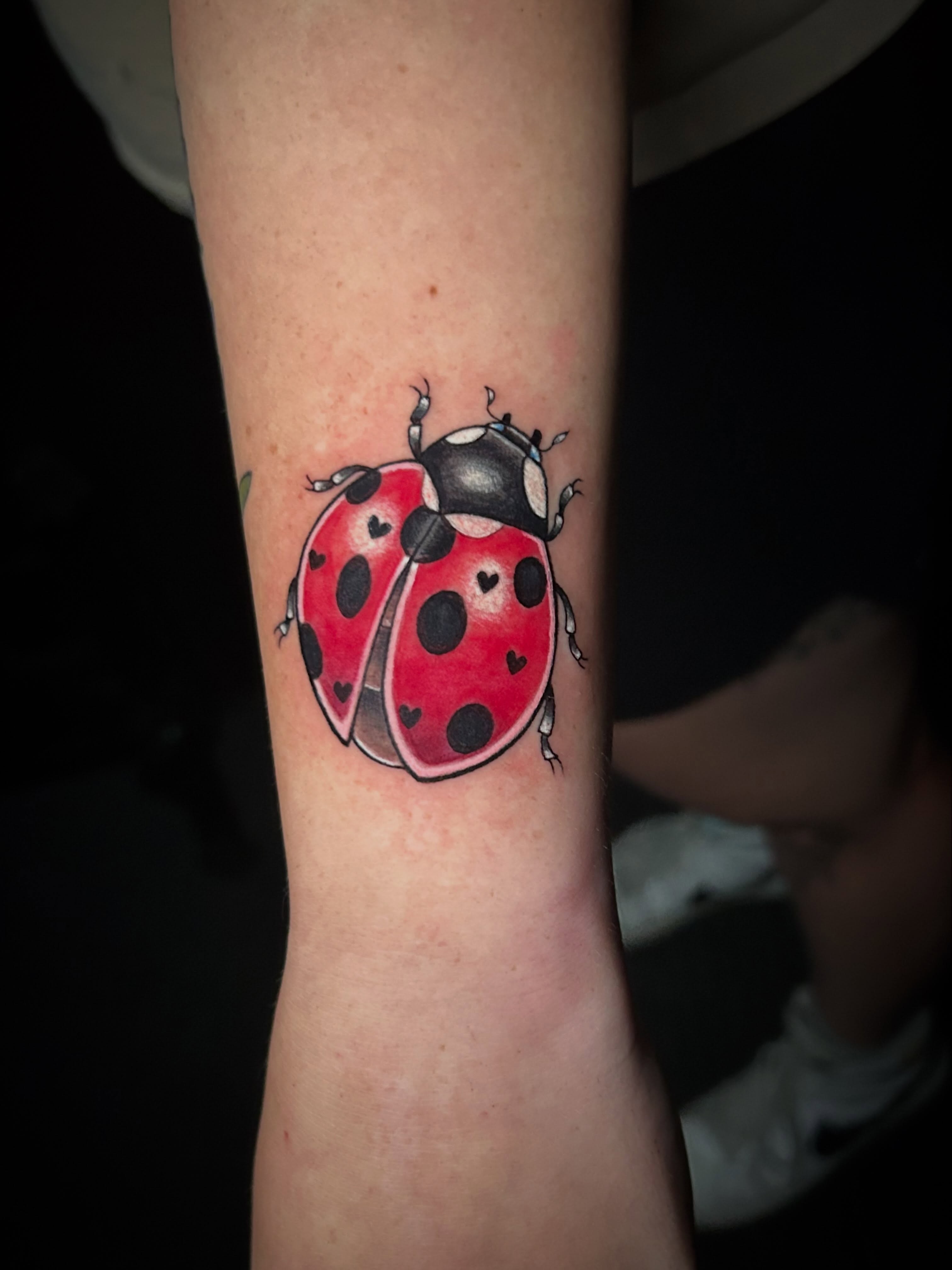 Ladybug realism tattoo on the forearm by Michigan Tattoo Artist - Emily Borneman
