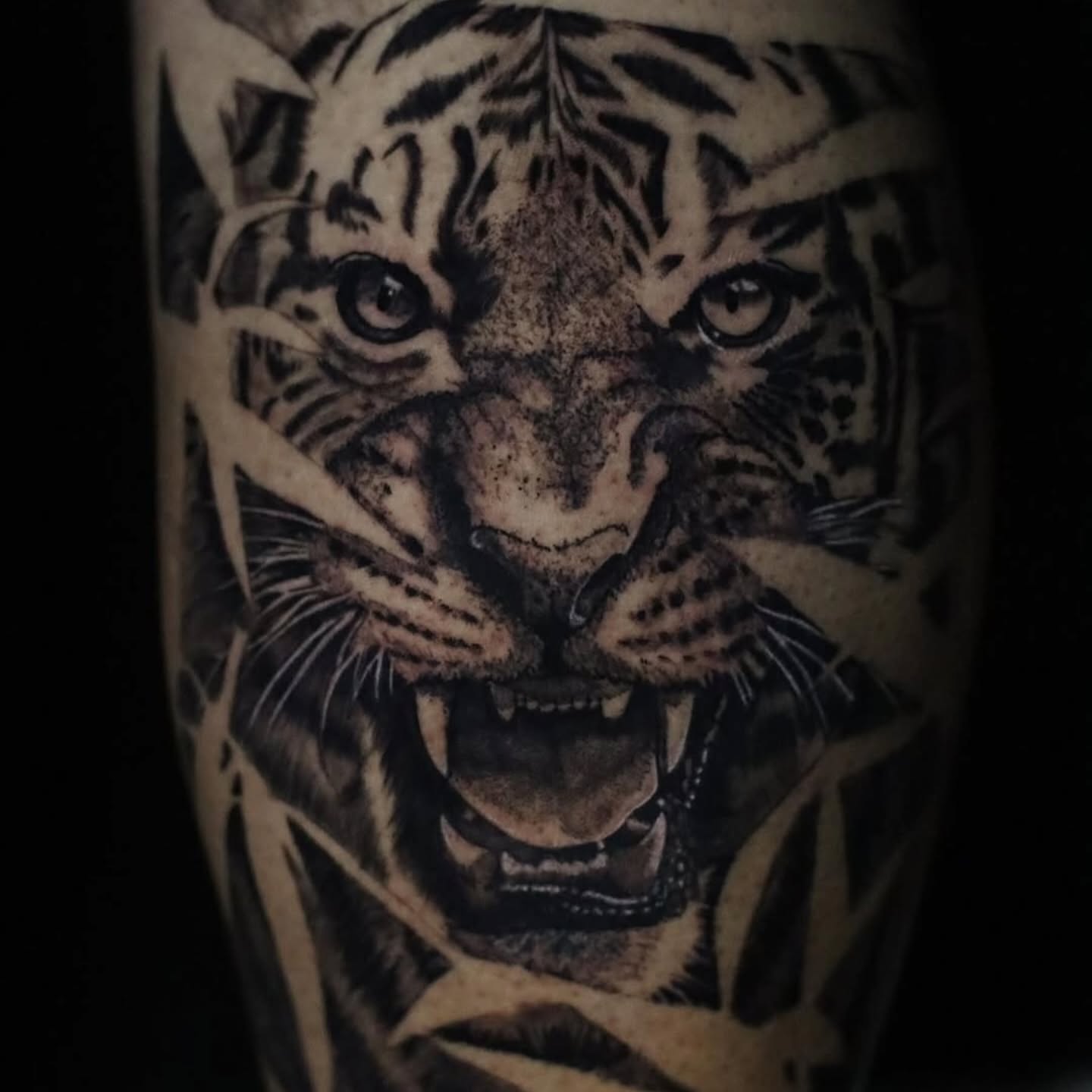Tiger realism tattoo on the forearm by 𝕸 𝖆 𝖓 𝖔 𝖑 𝖔