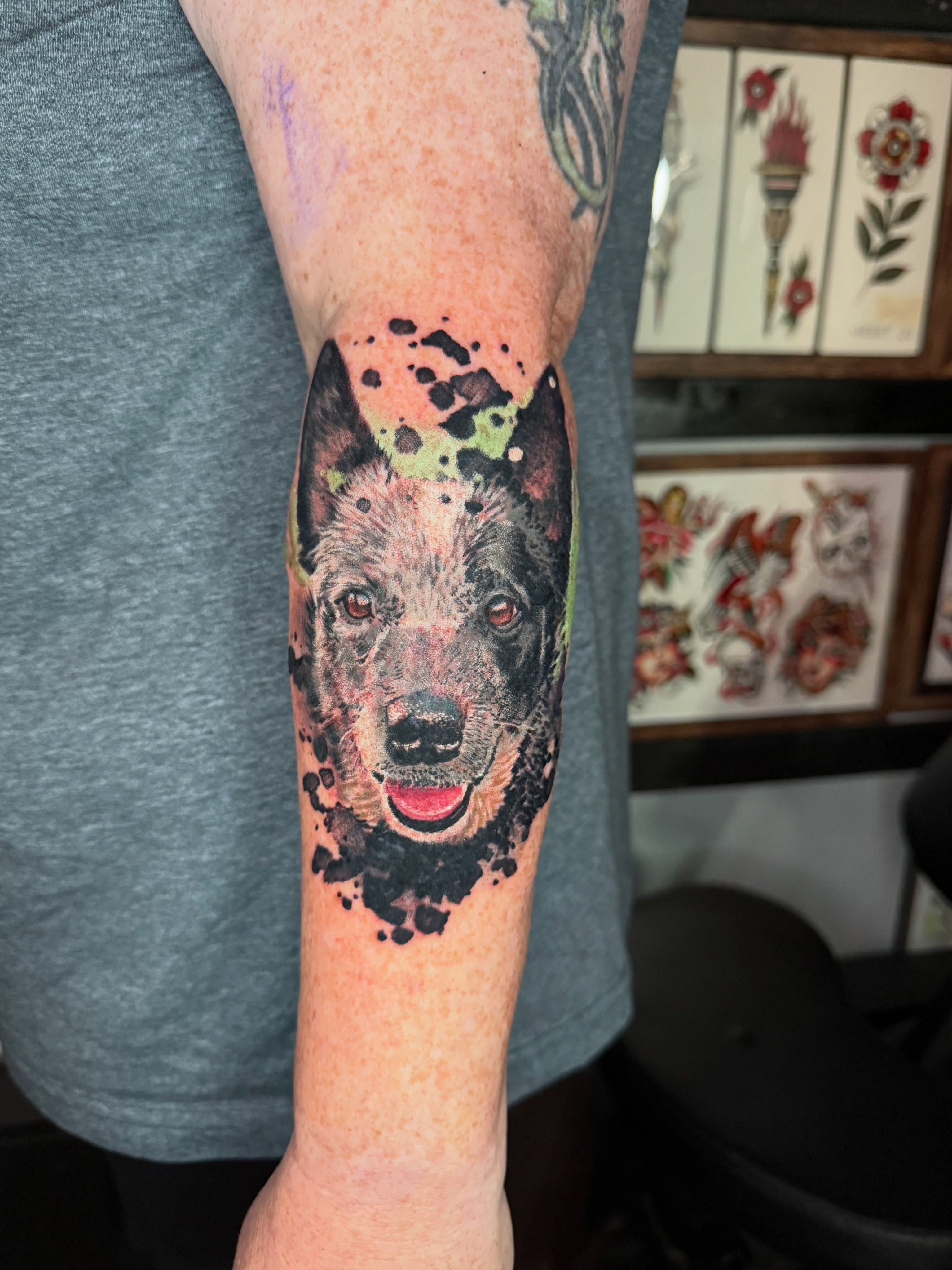 Dog realism tattoo on the forearm by ᴄʜʀɪs ᴀᴠᴇʀᴀ