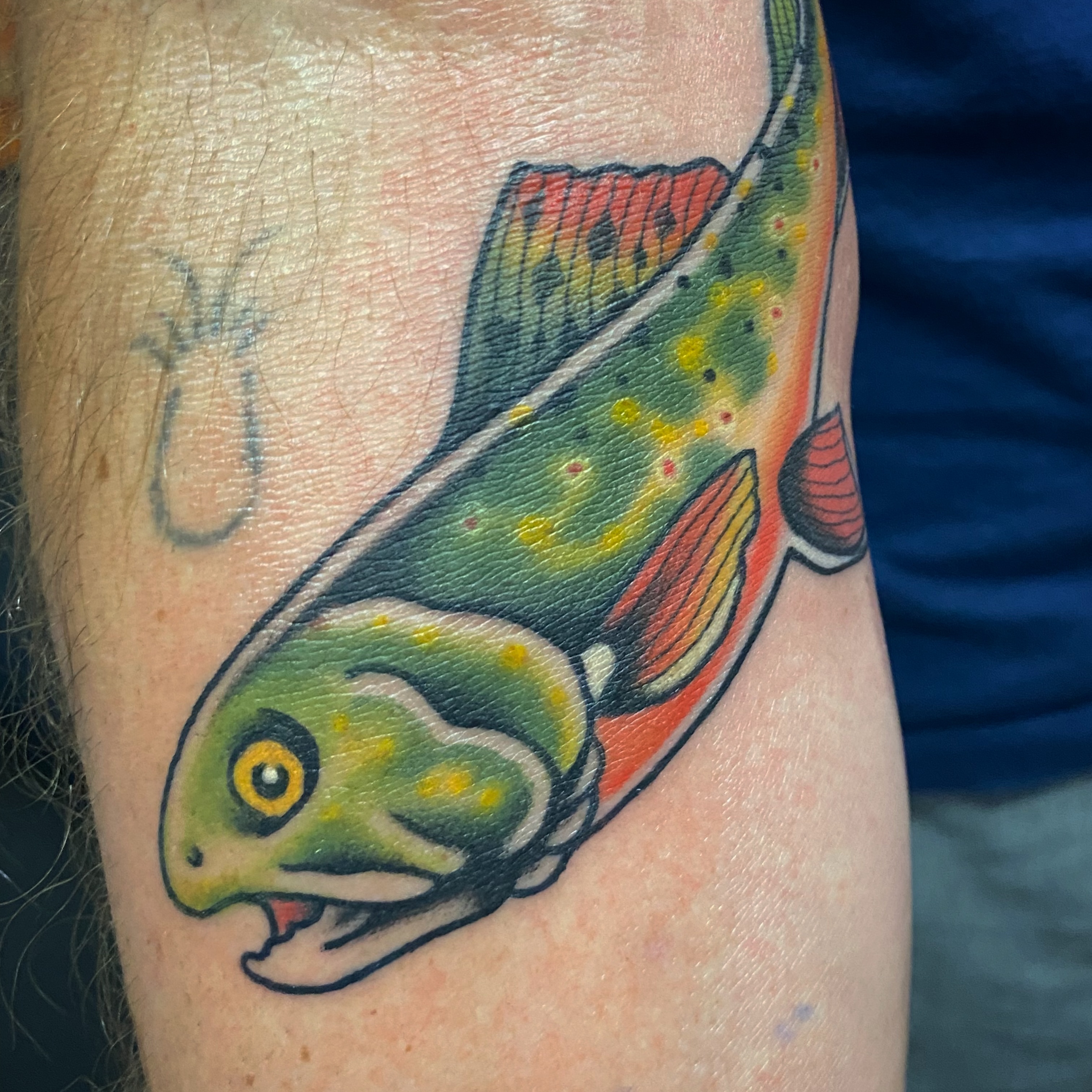 Fish American traditional tattoo on the forearm by @katie_tatts