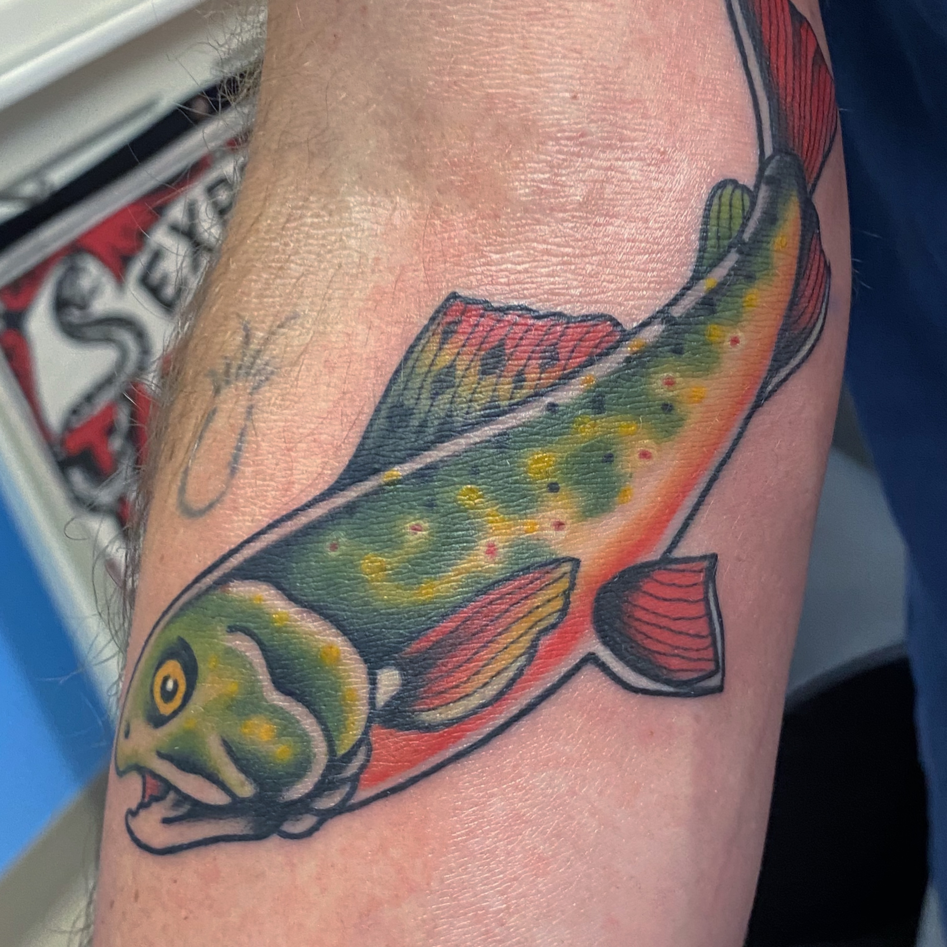 Trout American traditional tattoo on the forearm by @katie_tatts