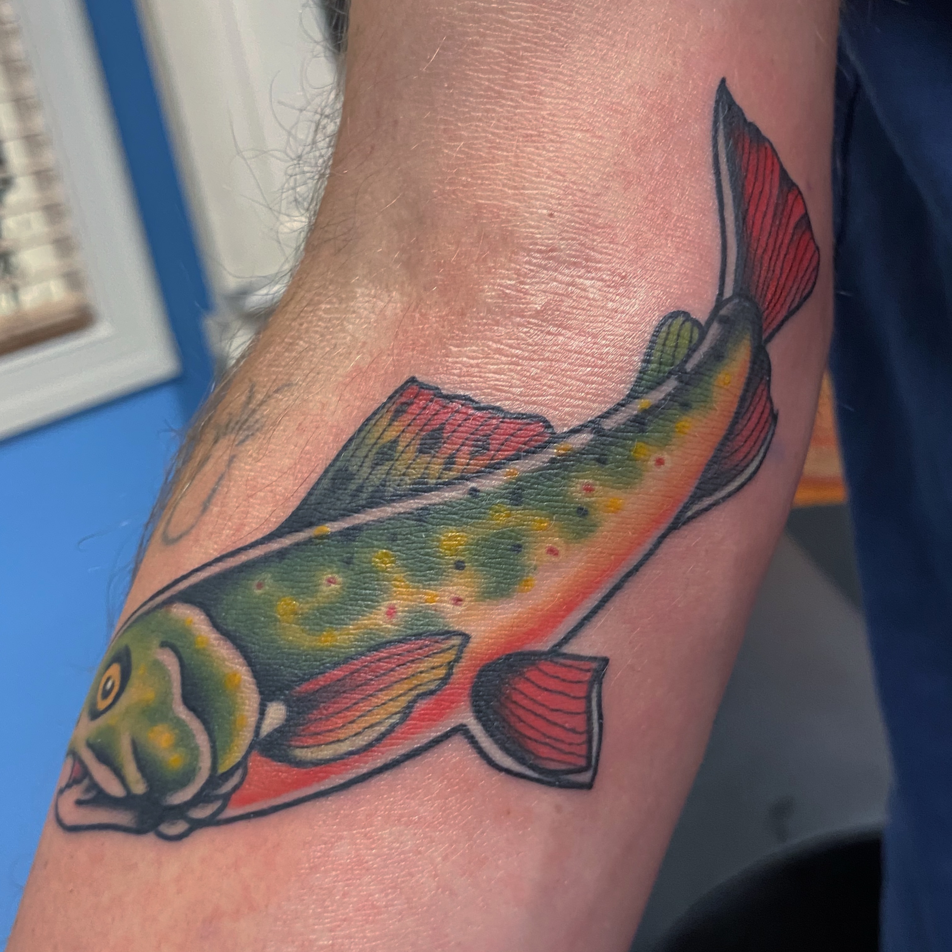 Trout American traditional tattoo on the forearm by @katie_tatts