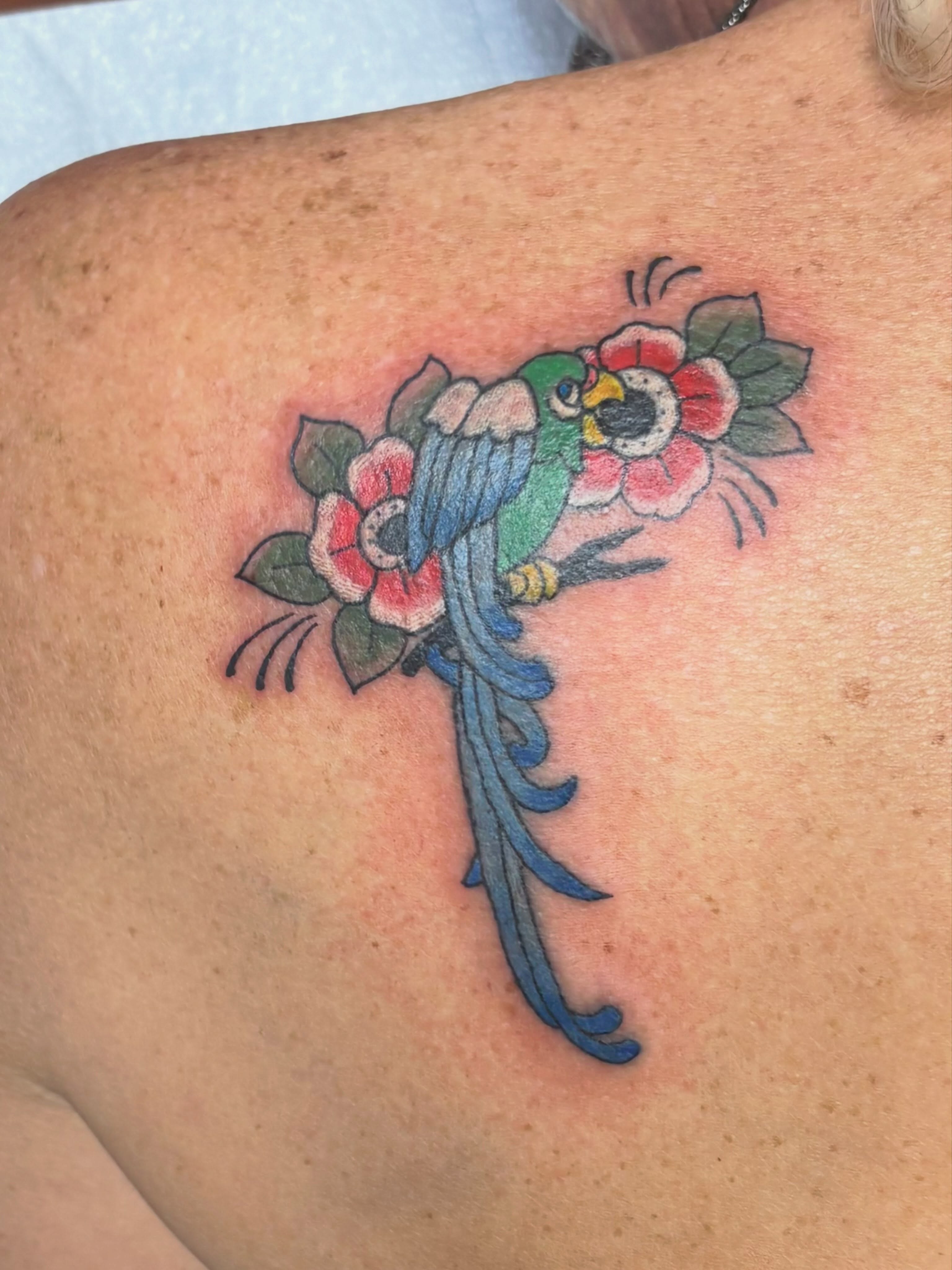 Parrot and flowers American traditional tattoo on the shoulder by Gabby, Kansas City, Missouri