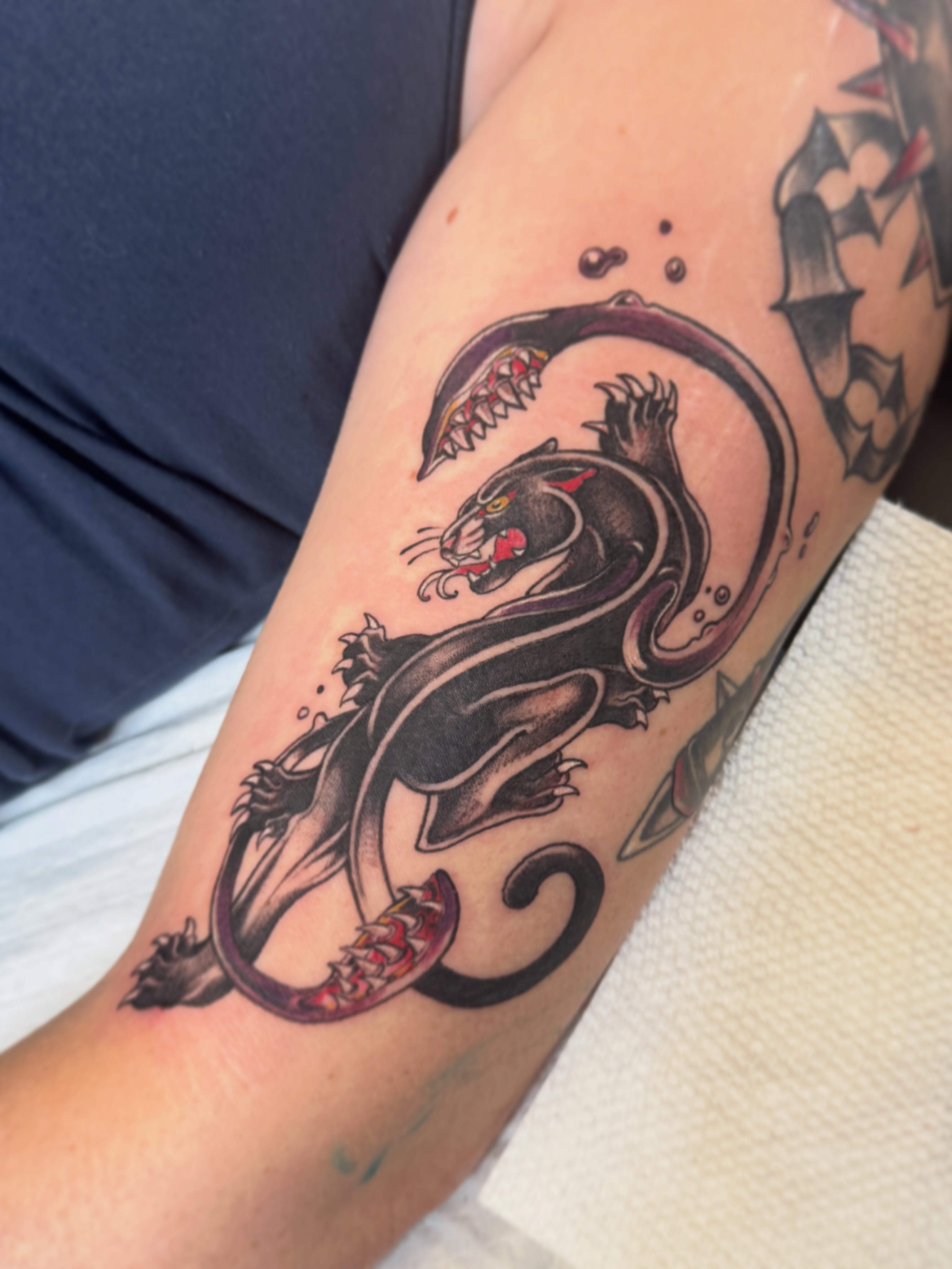 Panther American traditional tattoo on the forearm by Andy Rowe- Tattoo Artist🦇