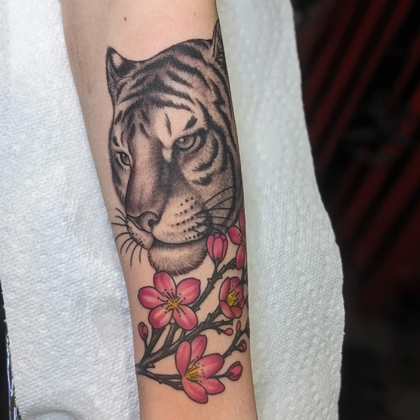 Tiger and cherry blossoms realism tattoo on the forearm by Matt Simmonds