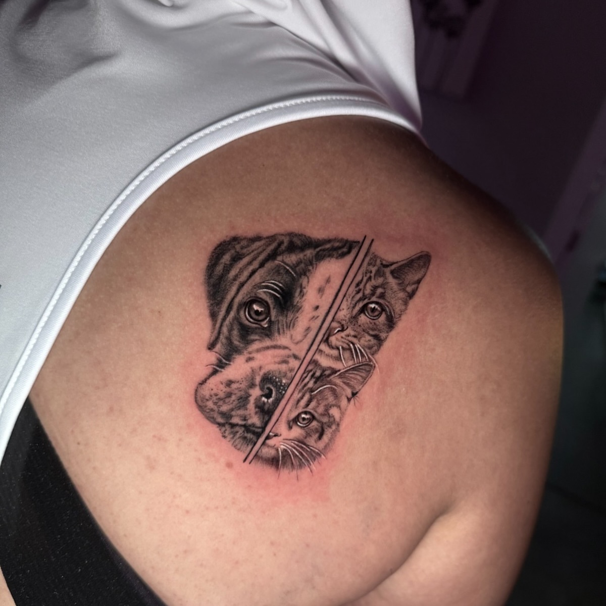 Dog and cat realism tattoo by Tattoo Artist Vanessa