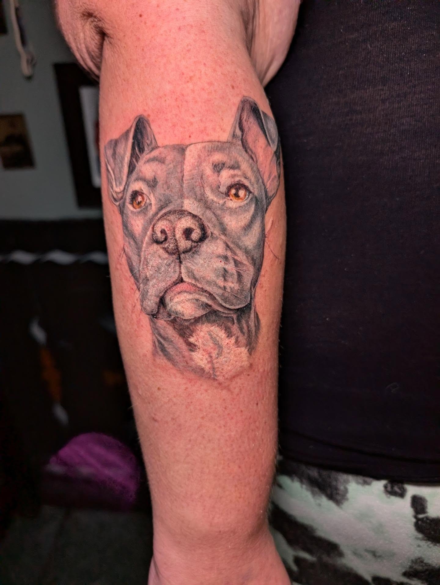 Pit bull realism tattoo on the forearm by Cat