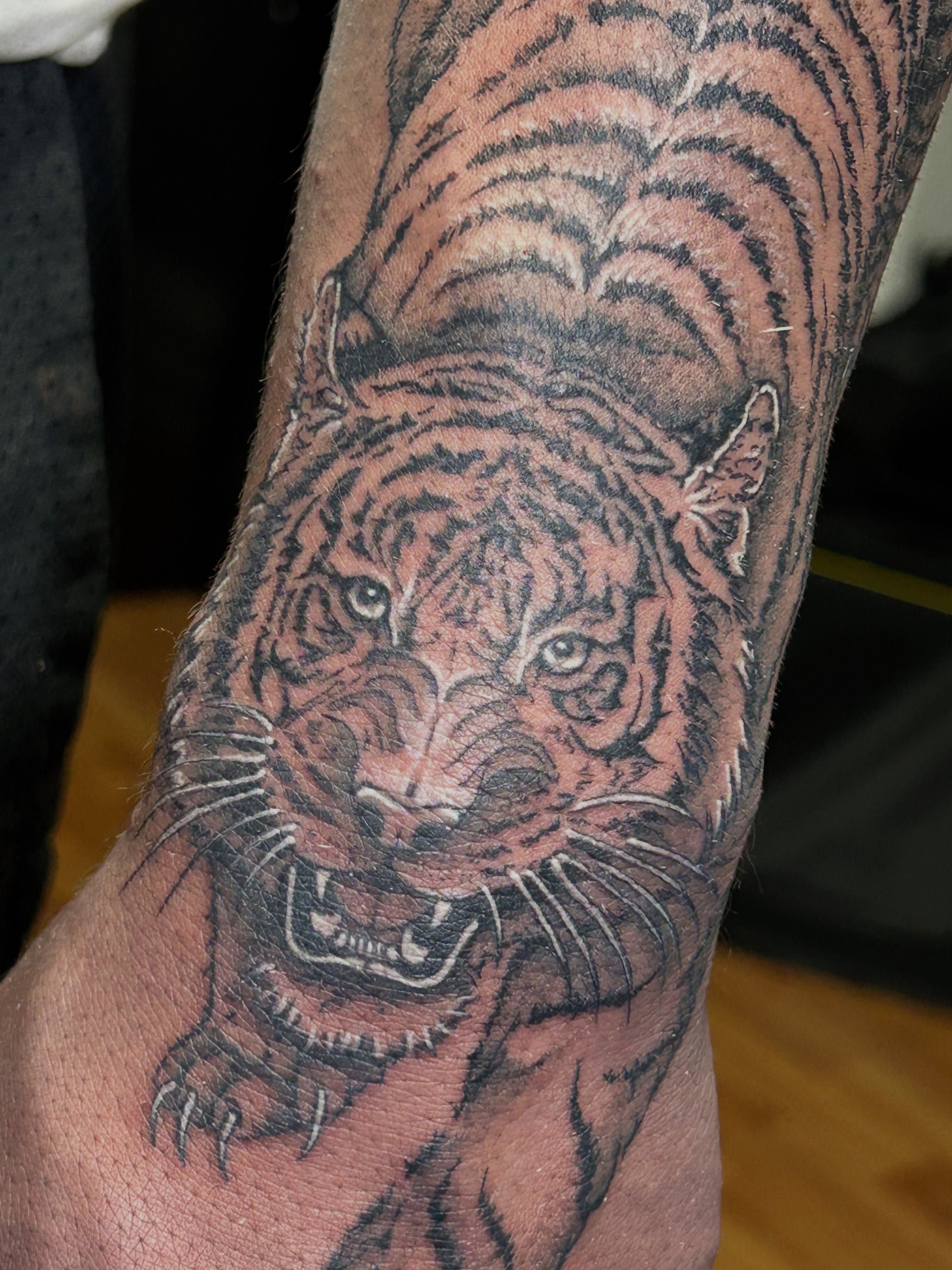 Tiger realism tattoo on the forearm by Barro