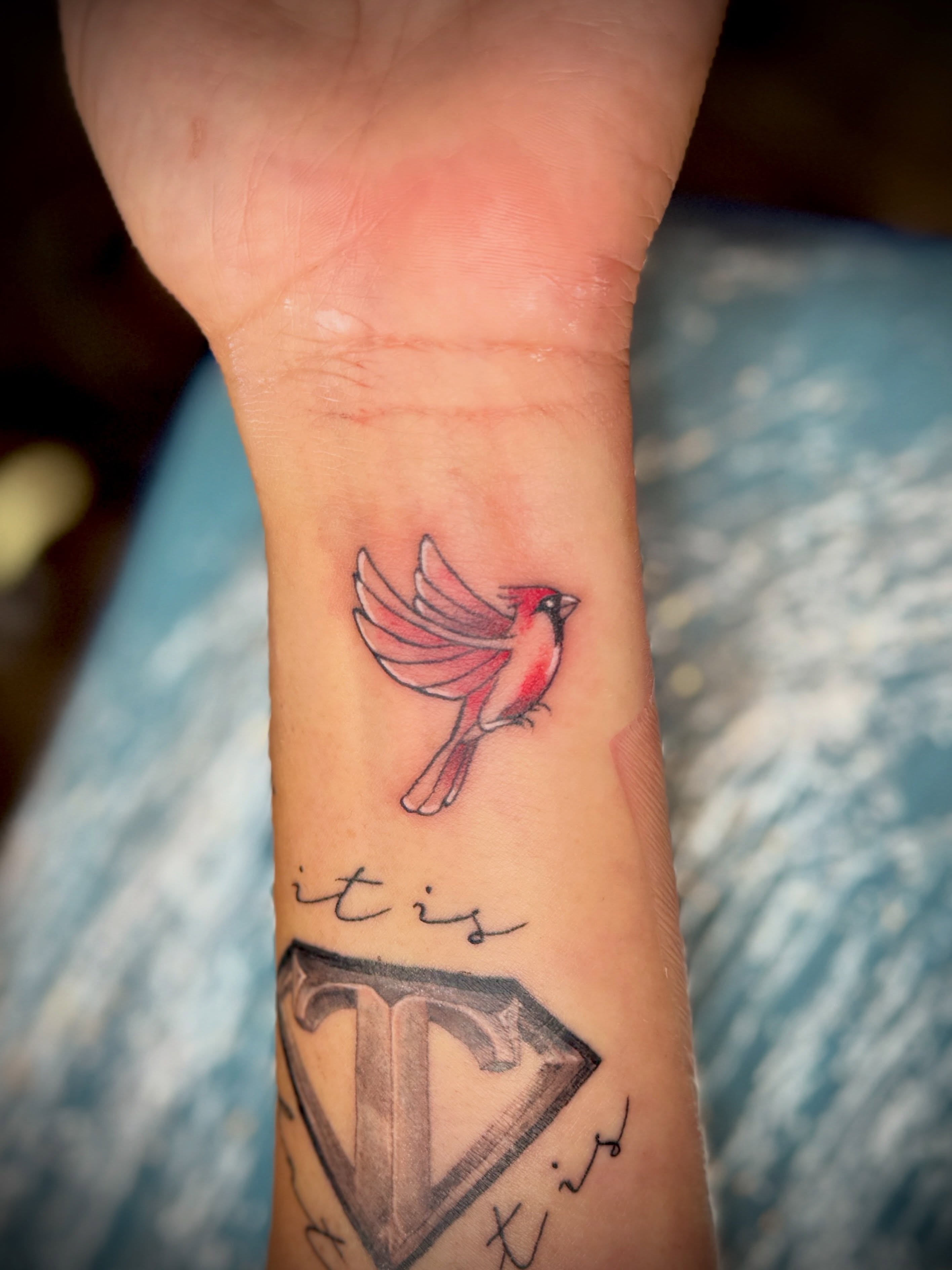 Red cardinal bird realism tattoo on the forearm by Kacy Blalock