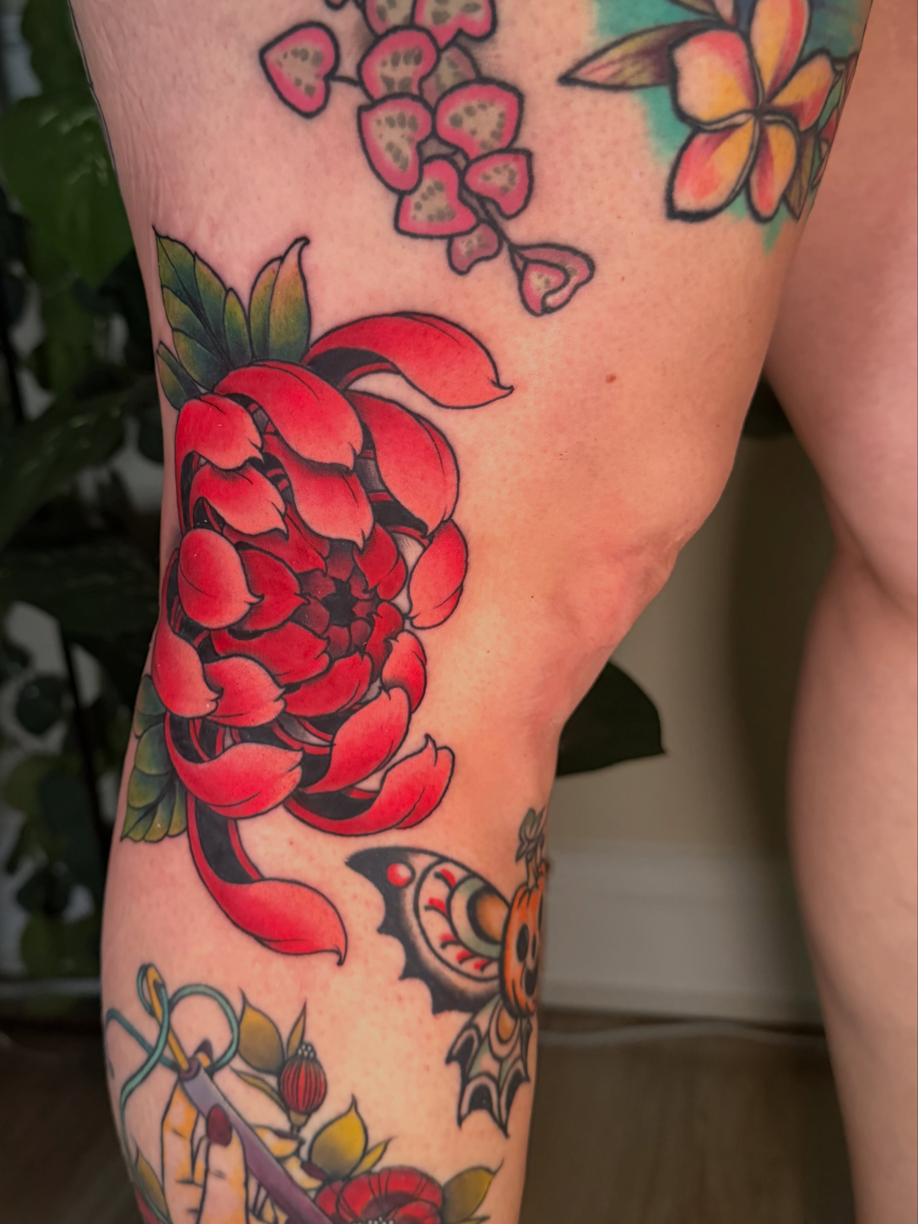 Red flower American traditional tattoo on the forearm by Chiah