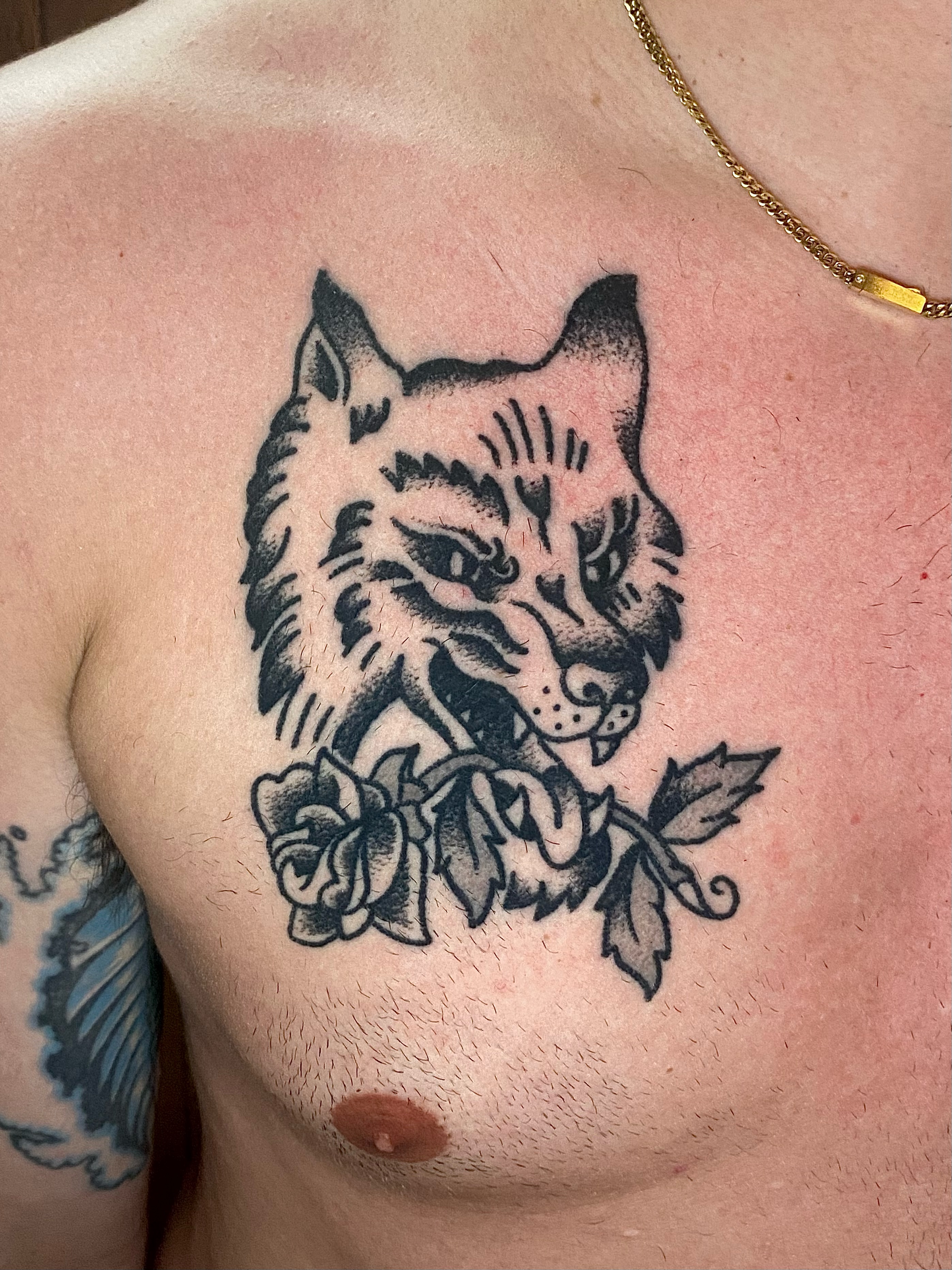 Cat and roses black and grey tattoo on the chest by Daniel Diego