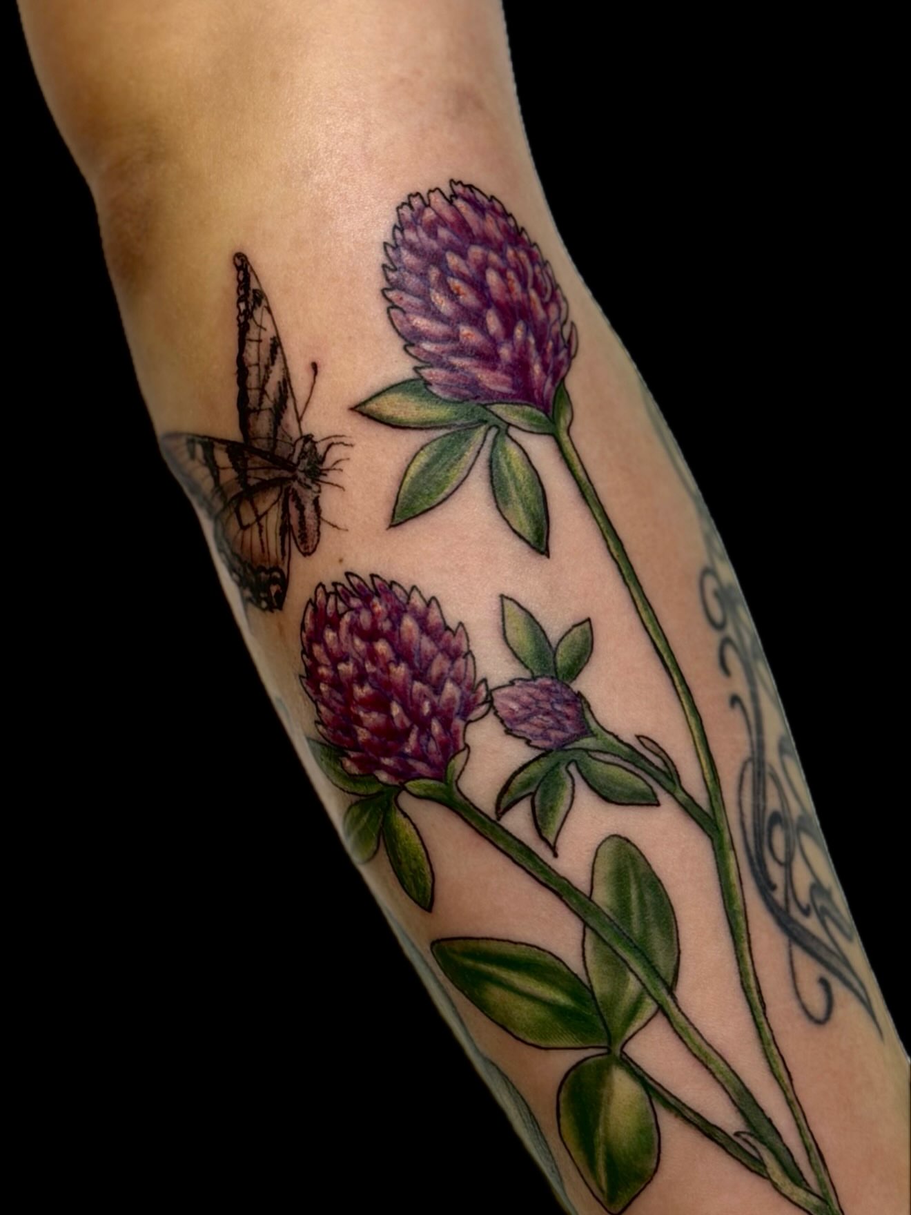 Clover and butterfly realism tattoo on the forearm by ⋆༺⋆˖⁺‧₊  ☽  ⛦⃝  ☾  ₊‧⁺˖⋆༻⋆𝔄𝔩𝔬𝔫𝔡𝔯𝔞  🌾