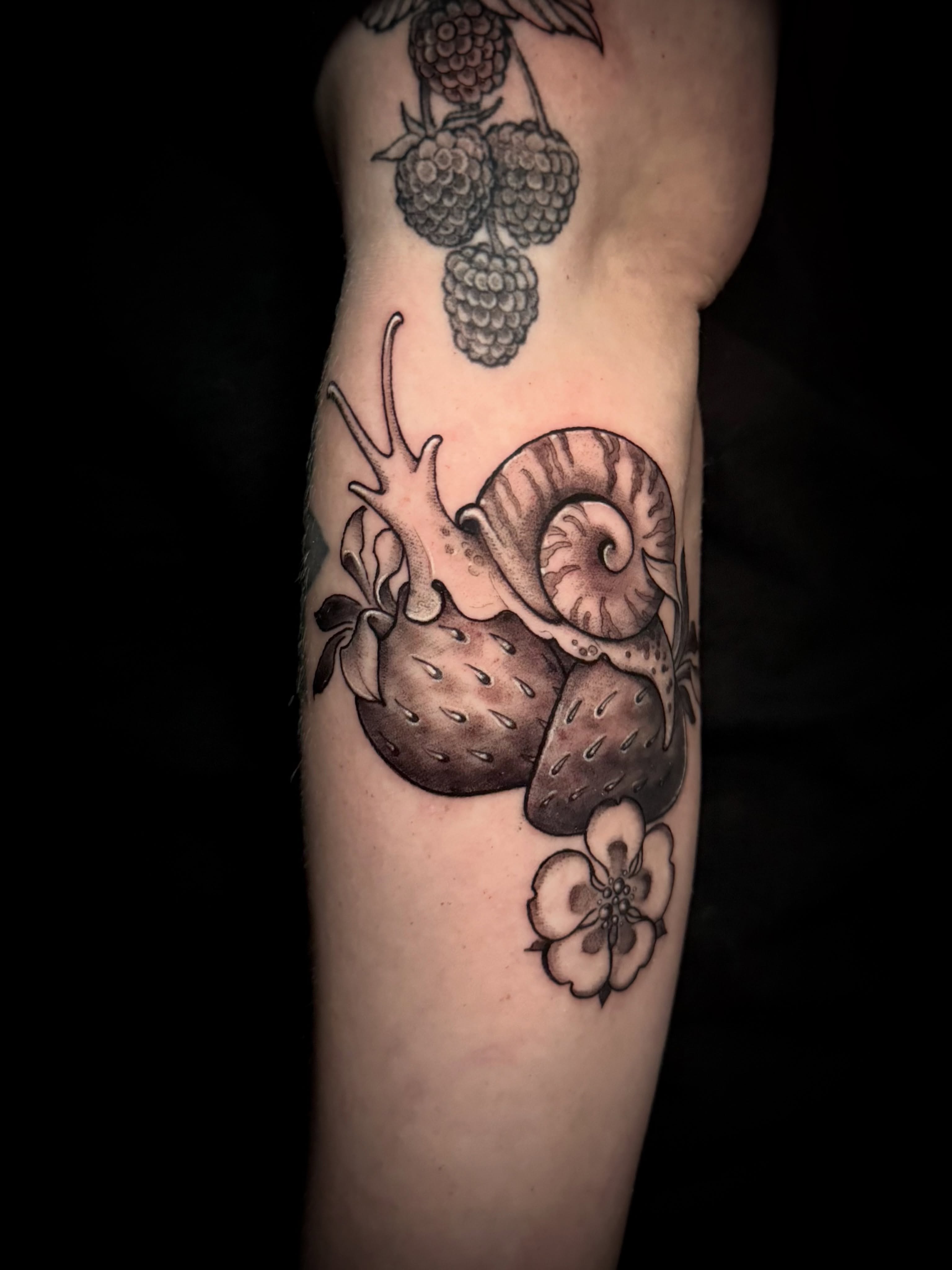 Snail and strawberries black and grey tattoo on the forearm by M A D I E I N S P A N I E R π¦ tattoos