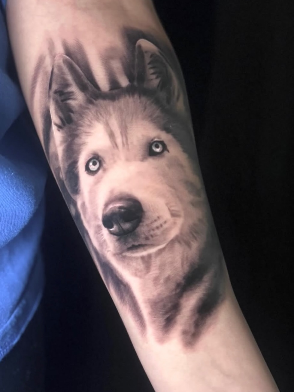Wolf realism tattoo on the forearm by 💎 Neon