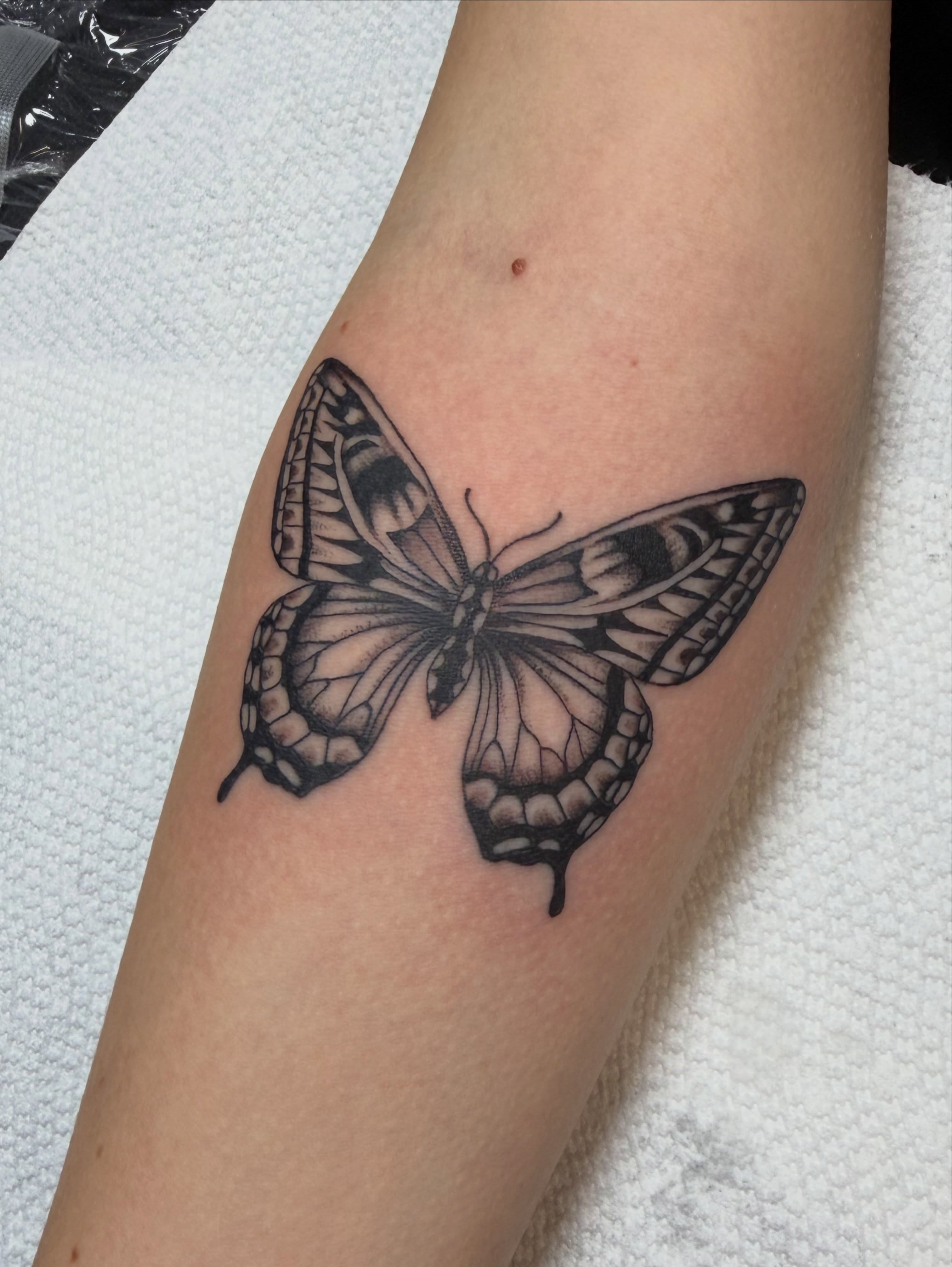 Butterfly black and grey tattoo on the forearm by Jessica Oram Brockman, Dayton, Ohio